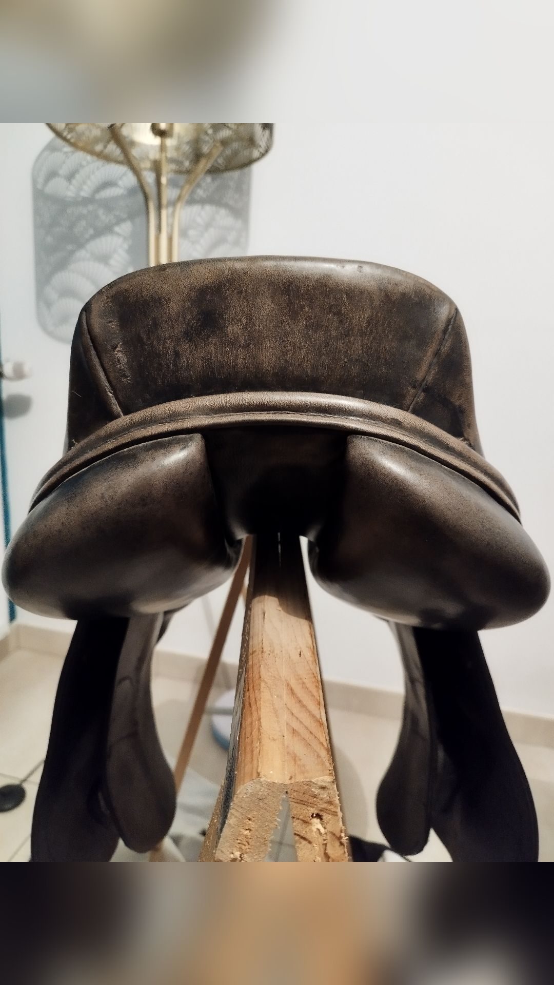 Selle Horse Pilot, média 5