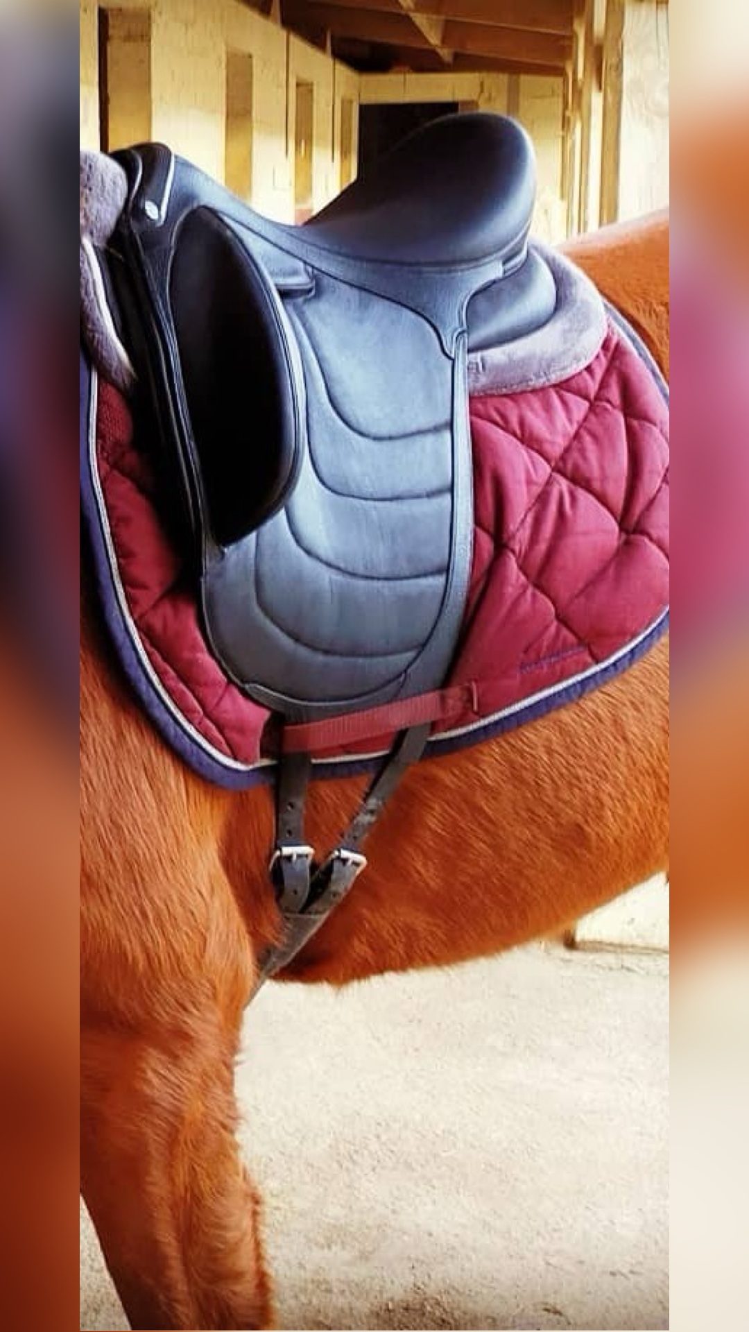 Selle de dressage Devoucoux 17.5, média 2