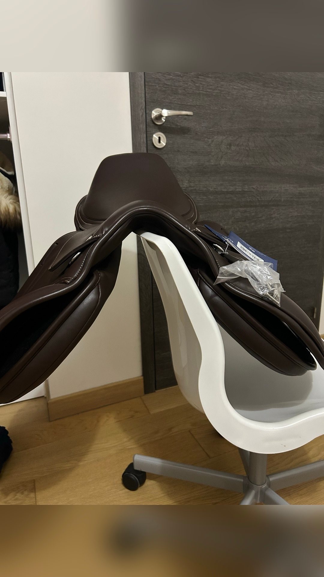 Selle Premier Equine Sautiller, média 5