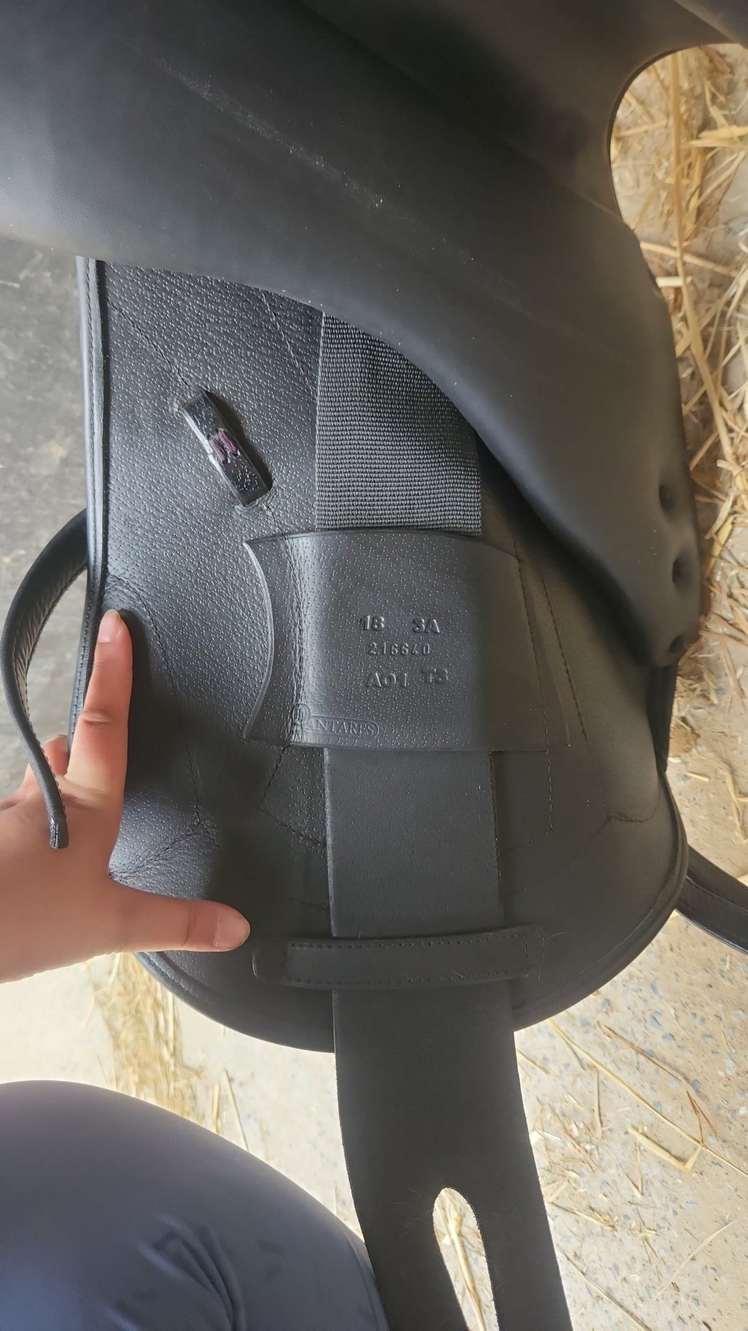 Selle Antares, média 10