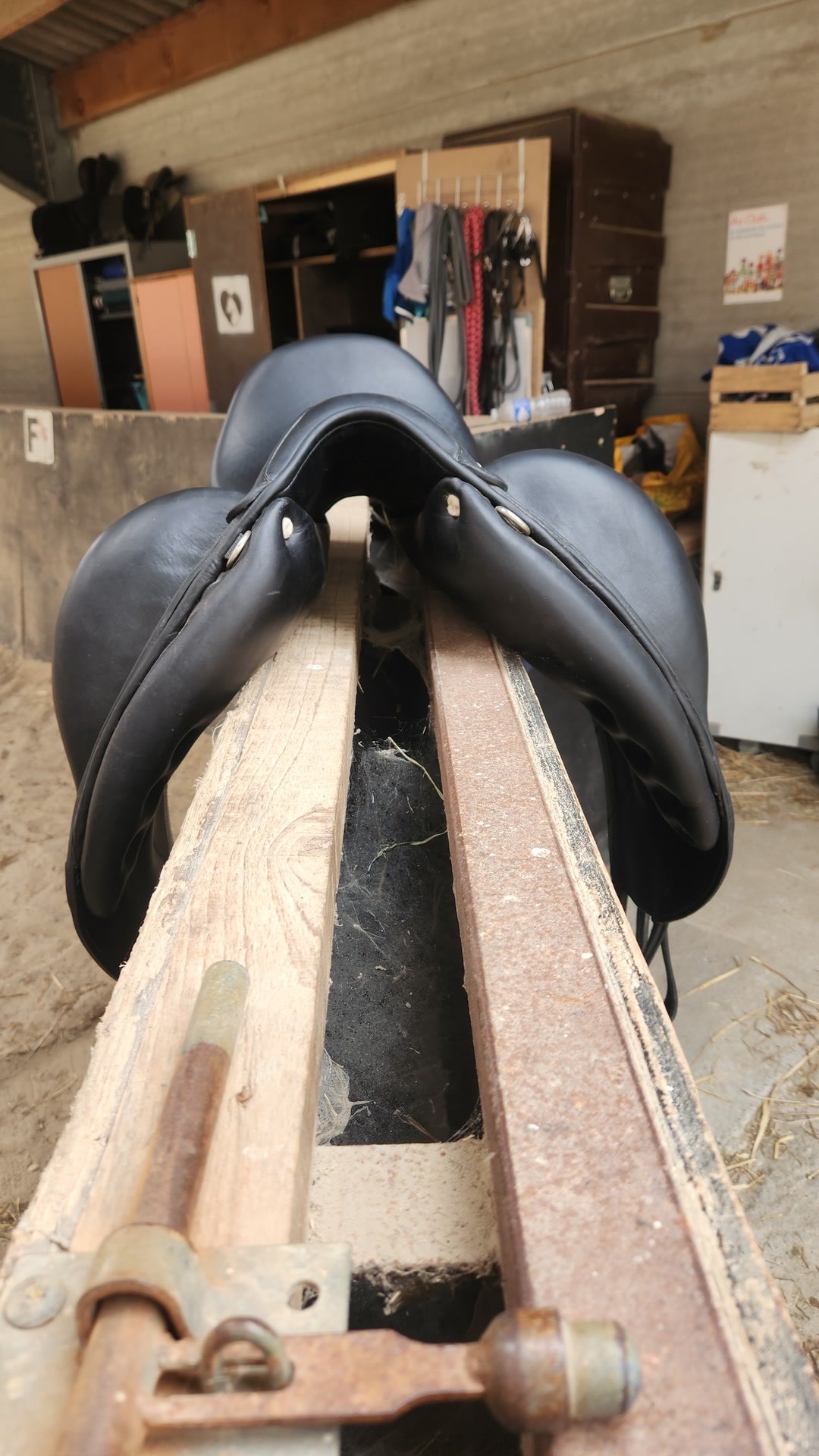 Selle Antares dressage, média 4