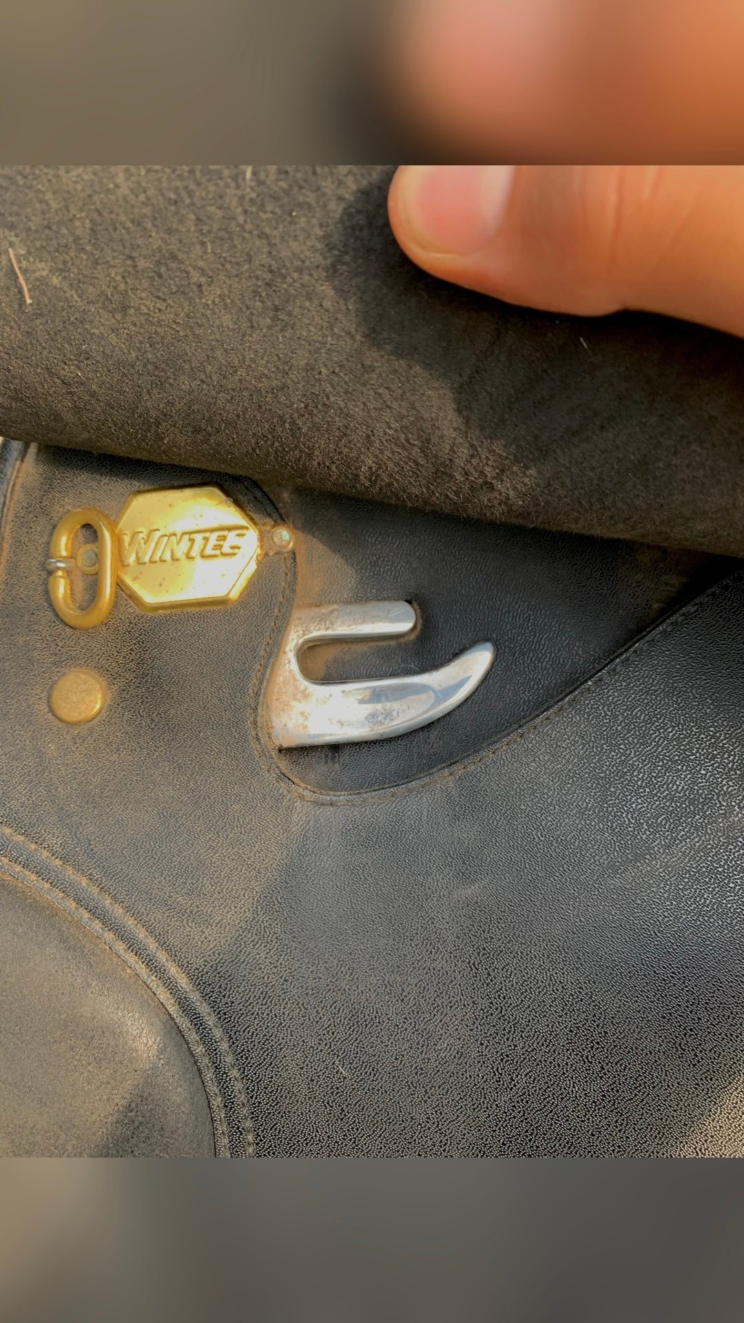 Vente de selle + filet noir en cuir, média 2
