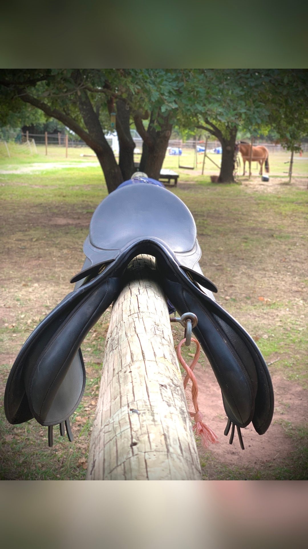 Vente de selle + filet noir en cuir, média 3