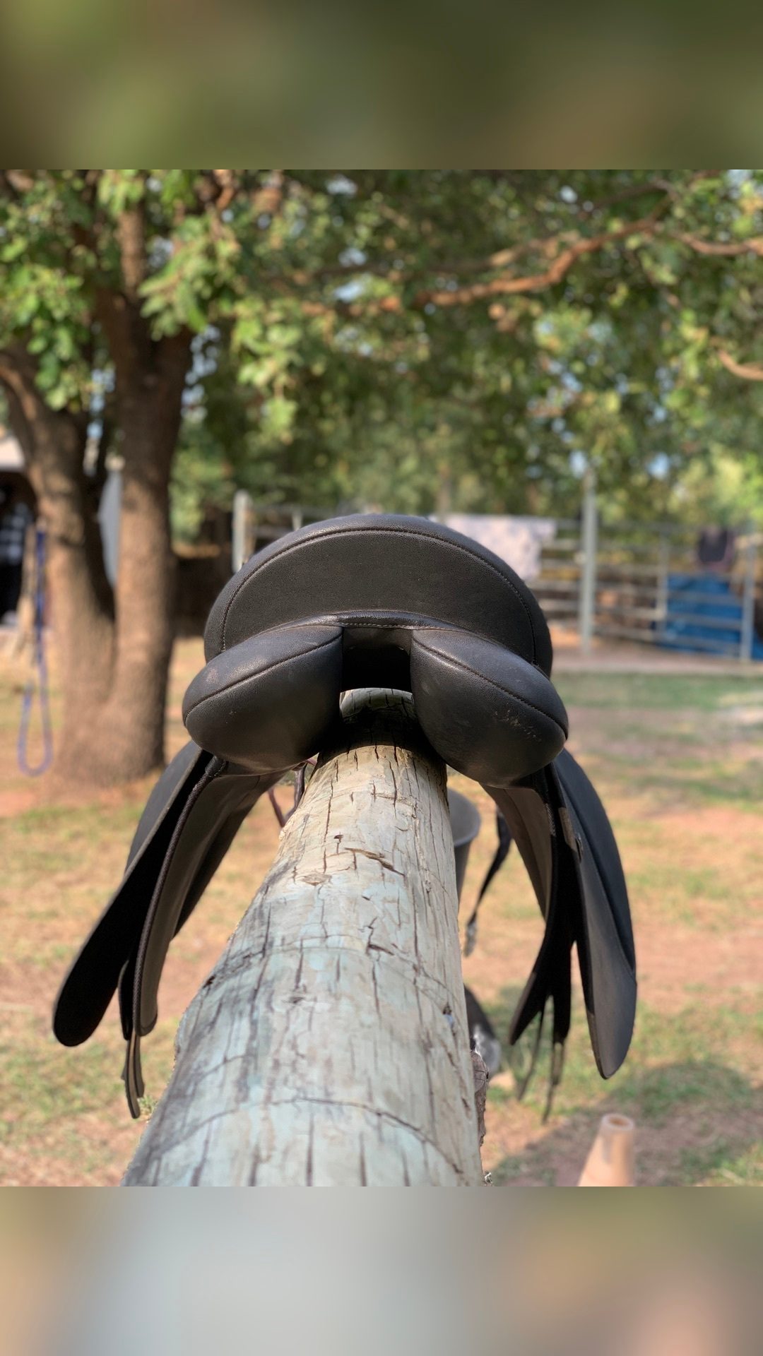 Vente de selle + filet noir en cuir, média 5