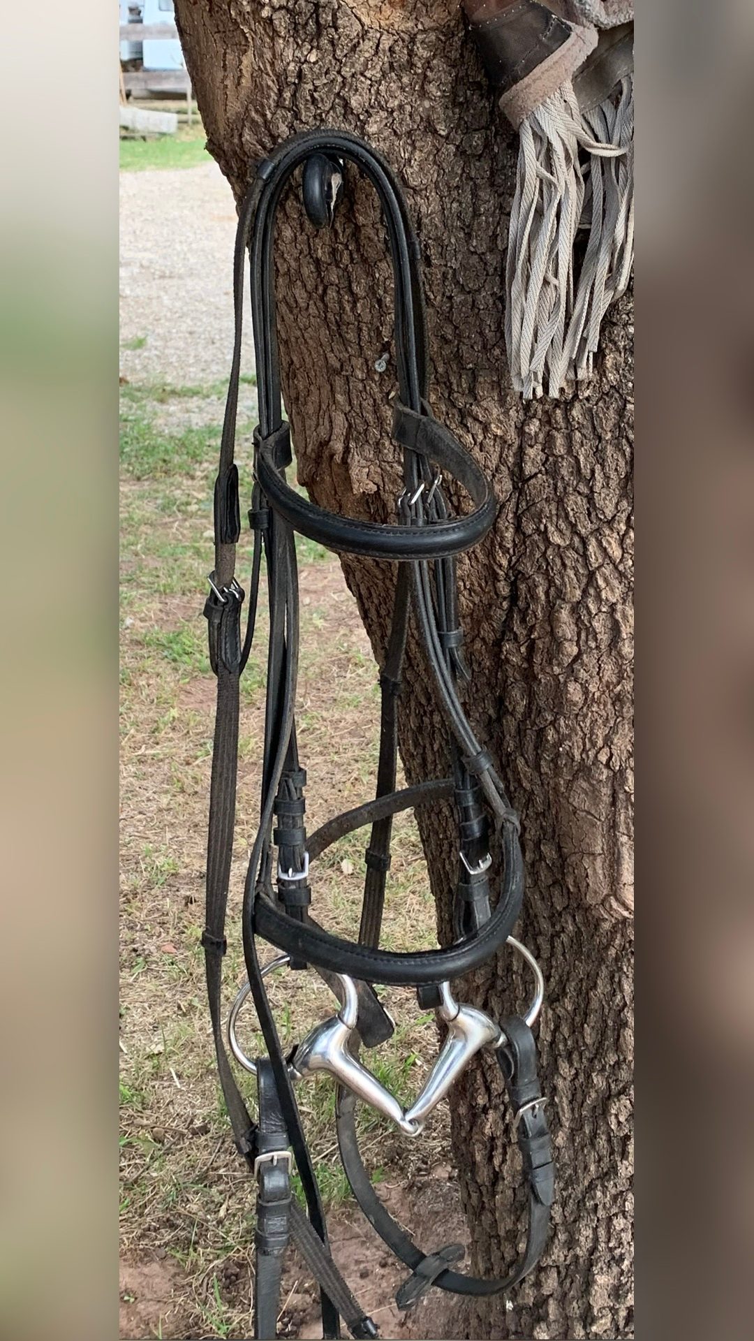 Vente de selle + filet noir en cuir, média 8