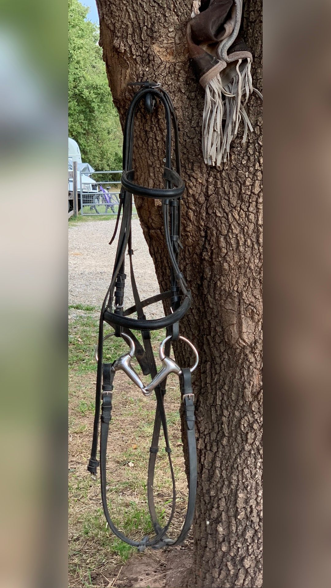 Vente de selle + filet noir en cuir, média 9