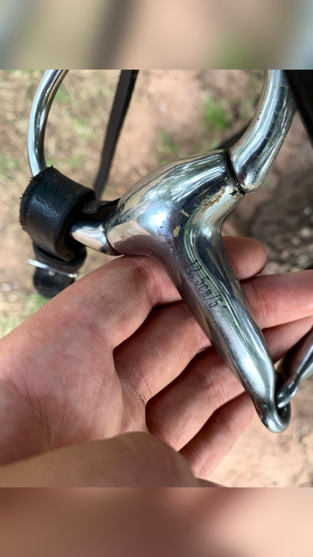 Vente de selle + filet noir en cuir, média 10