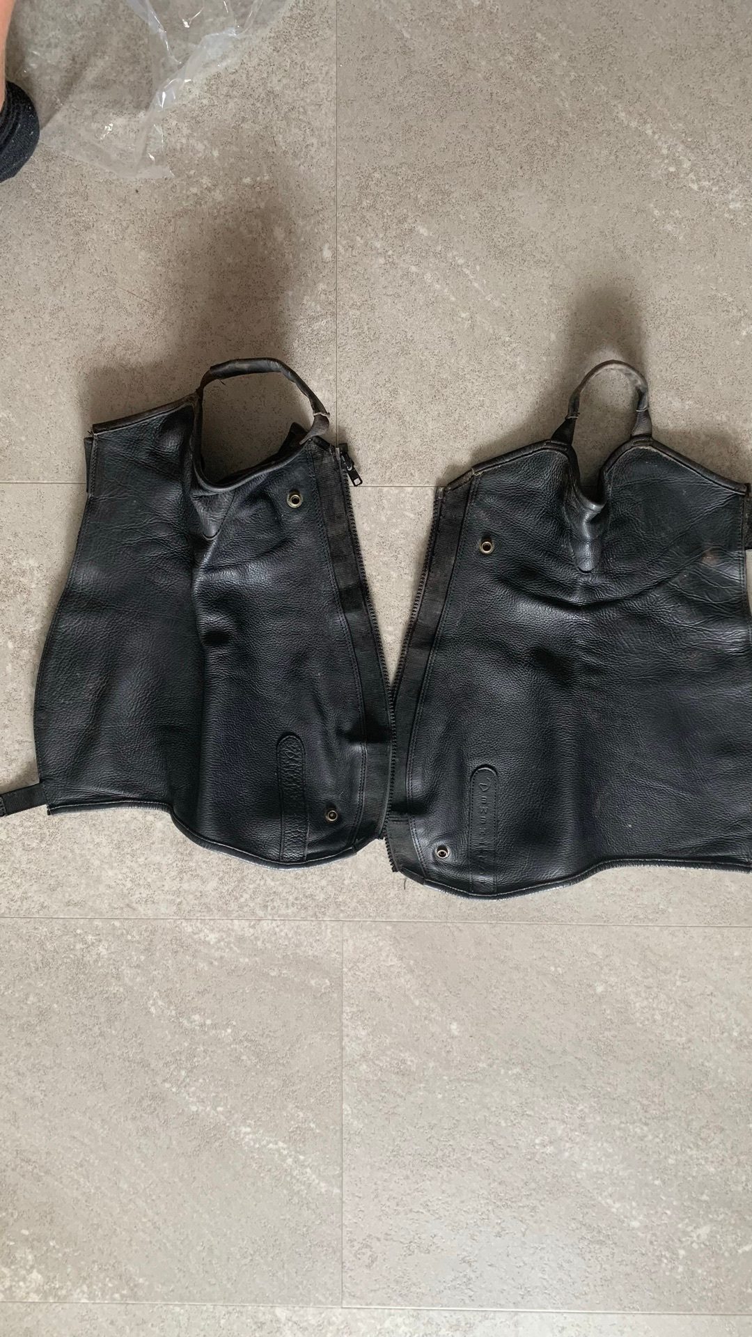 Chaps noir Equitheme en cuir taille : médium, short, média 3