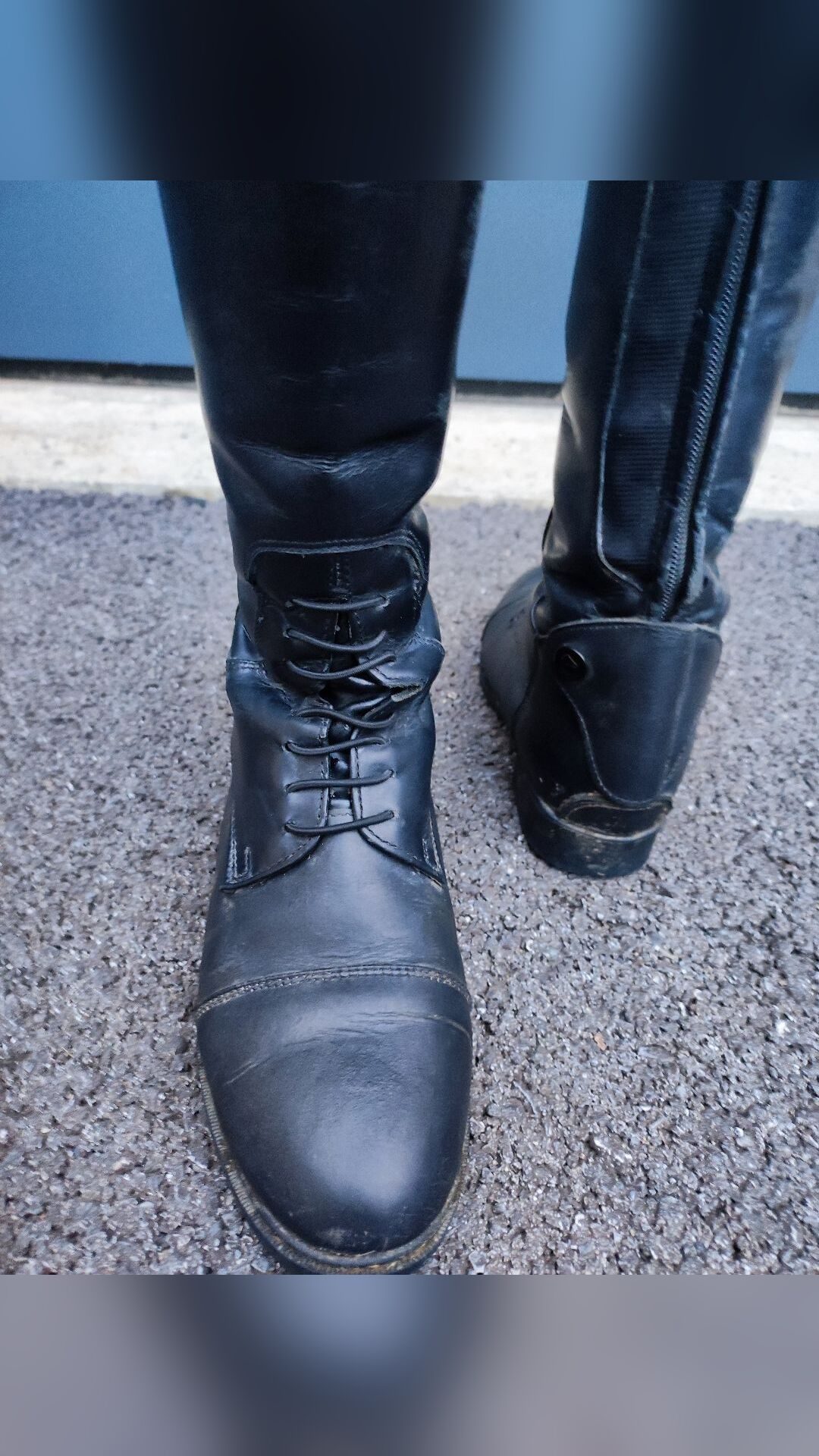 Bottes en cuir Equithème, média 6