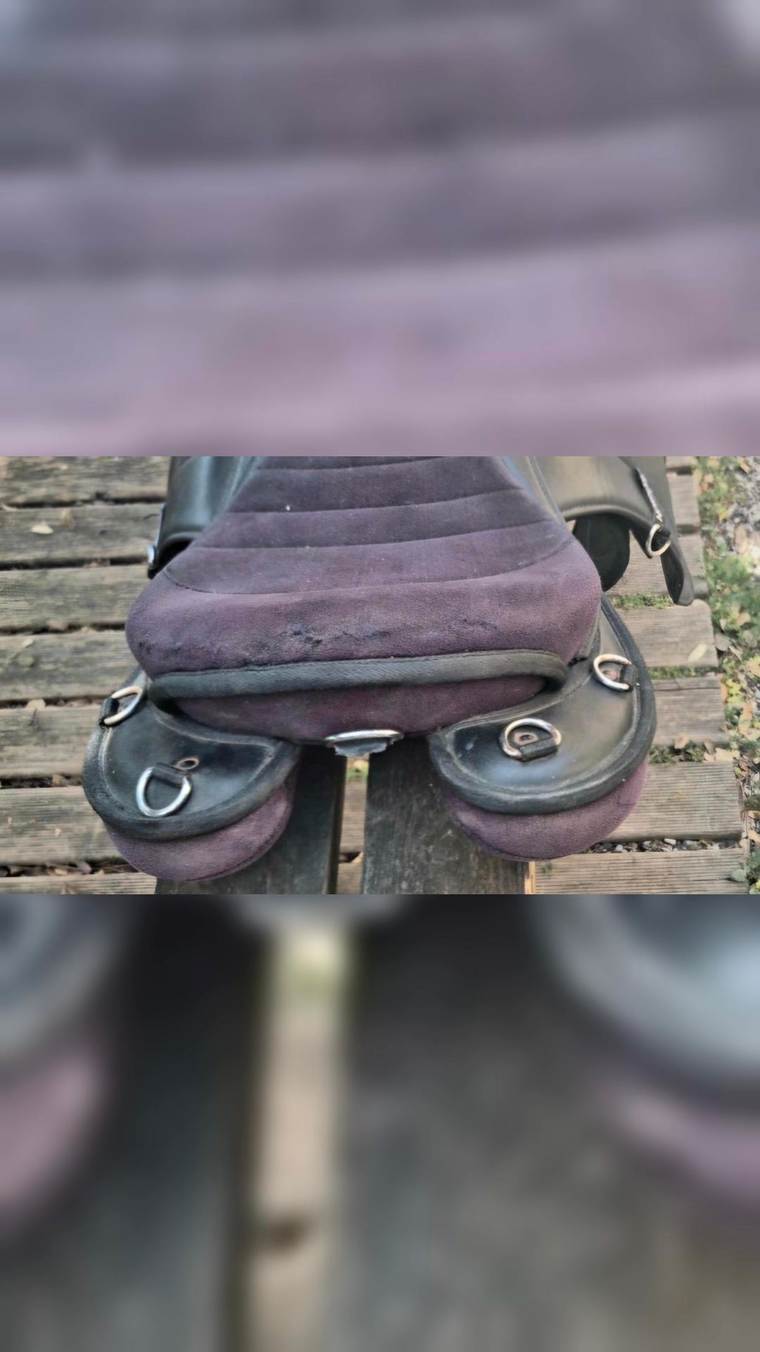 Selle norton, média 2