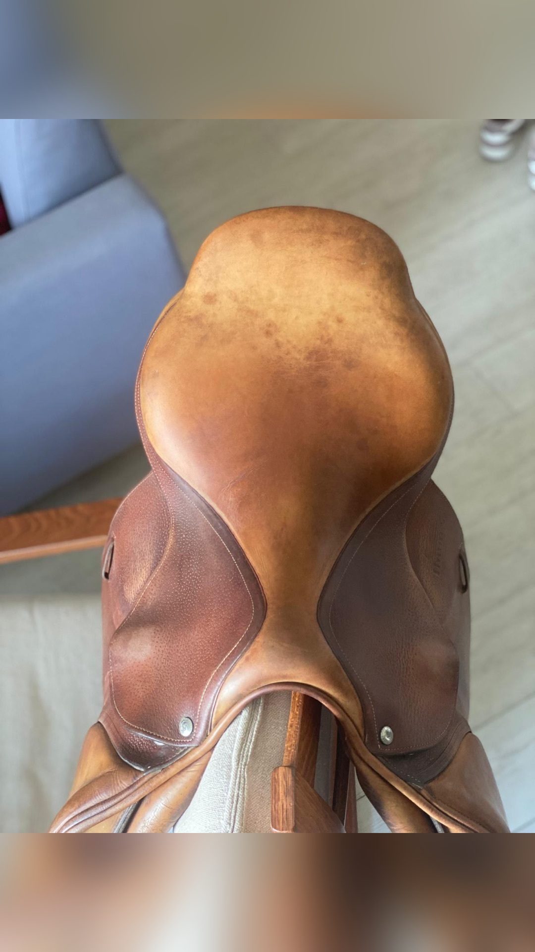 Selle Forestier, média 2