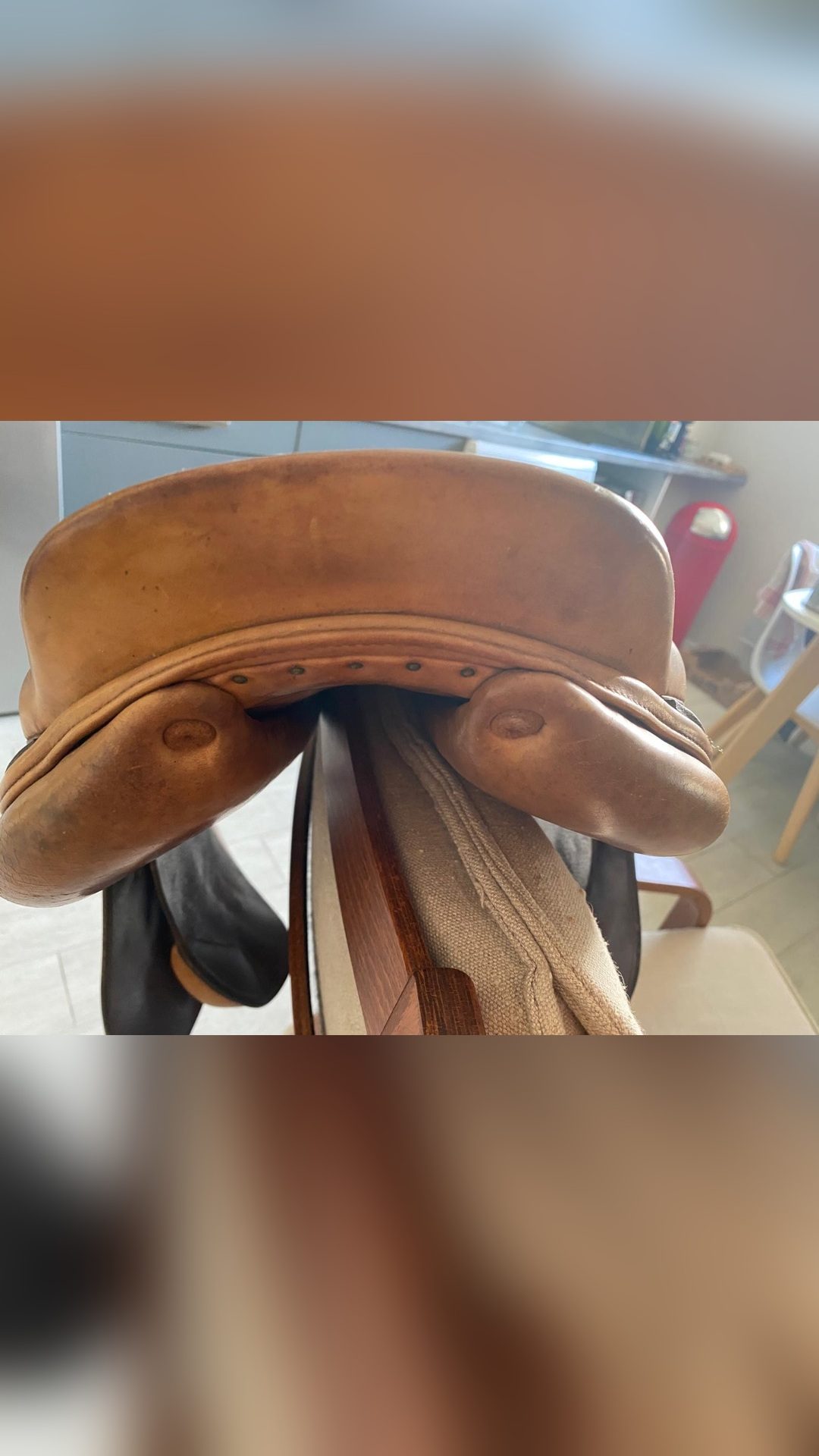 Selle Forestier, média 3