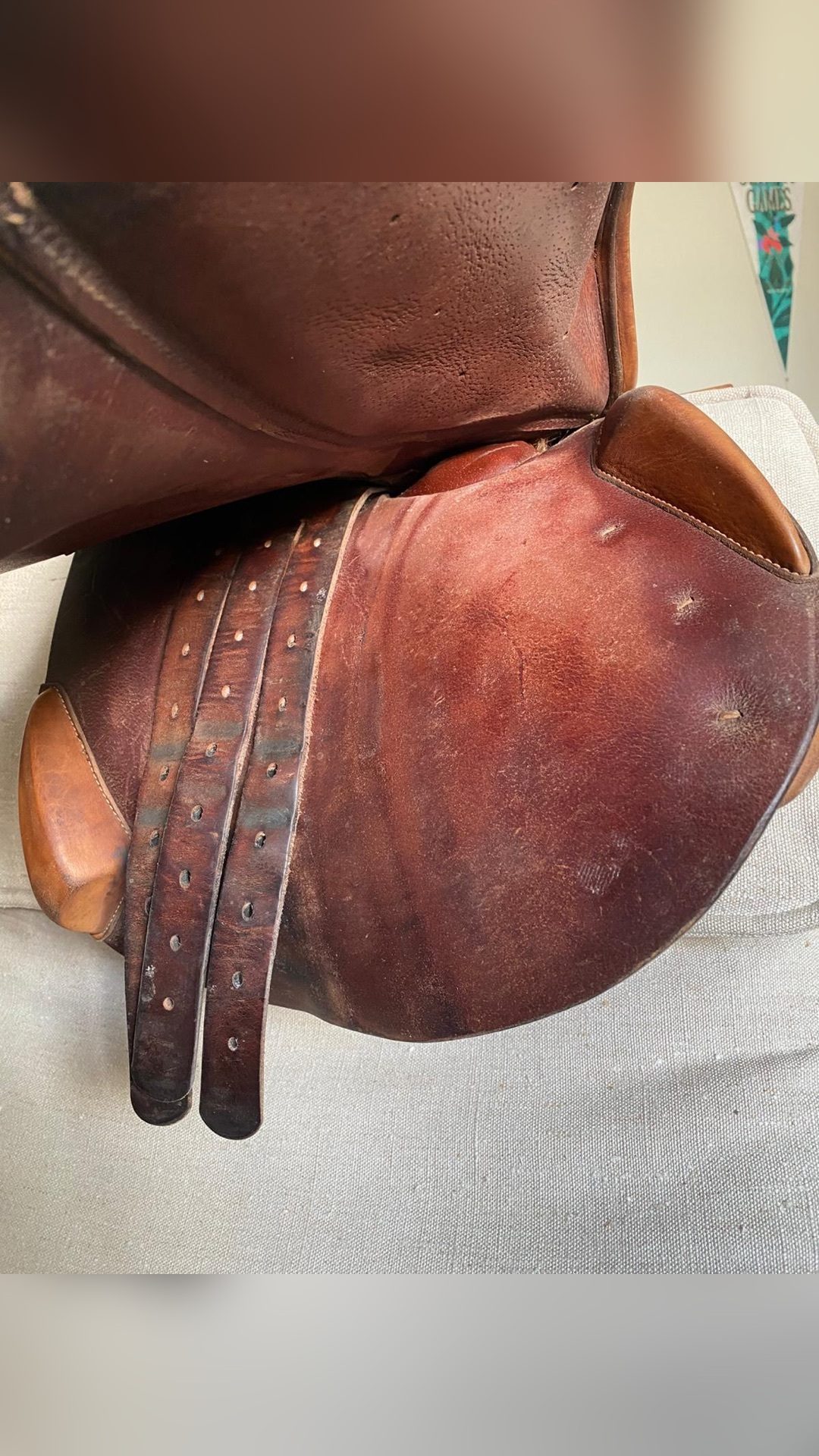 Selle Forestier, média 5