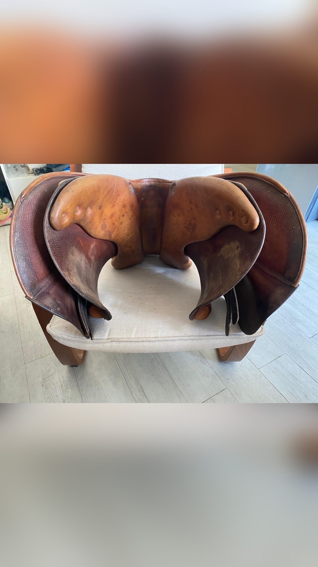 Selle Forestier, média 9