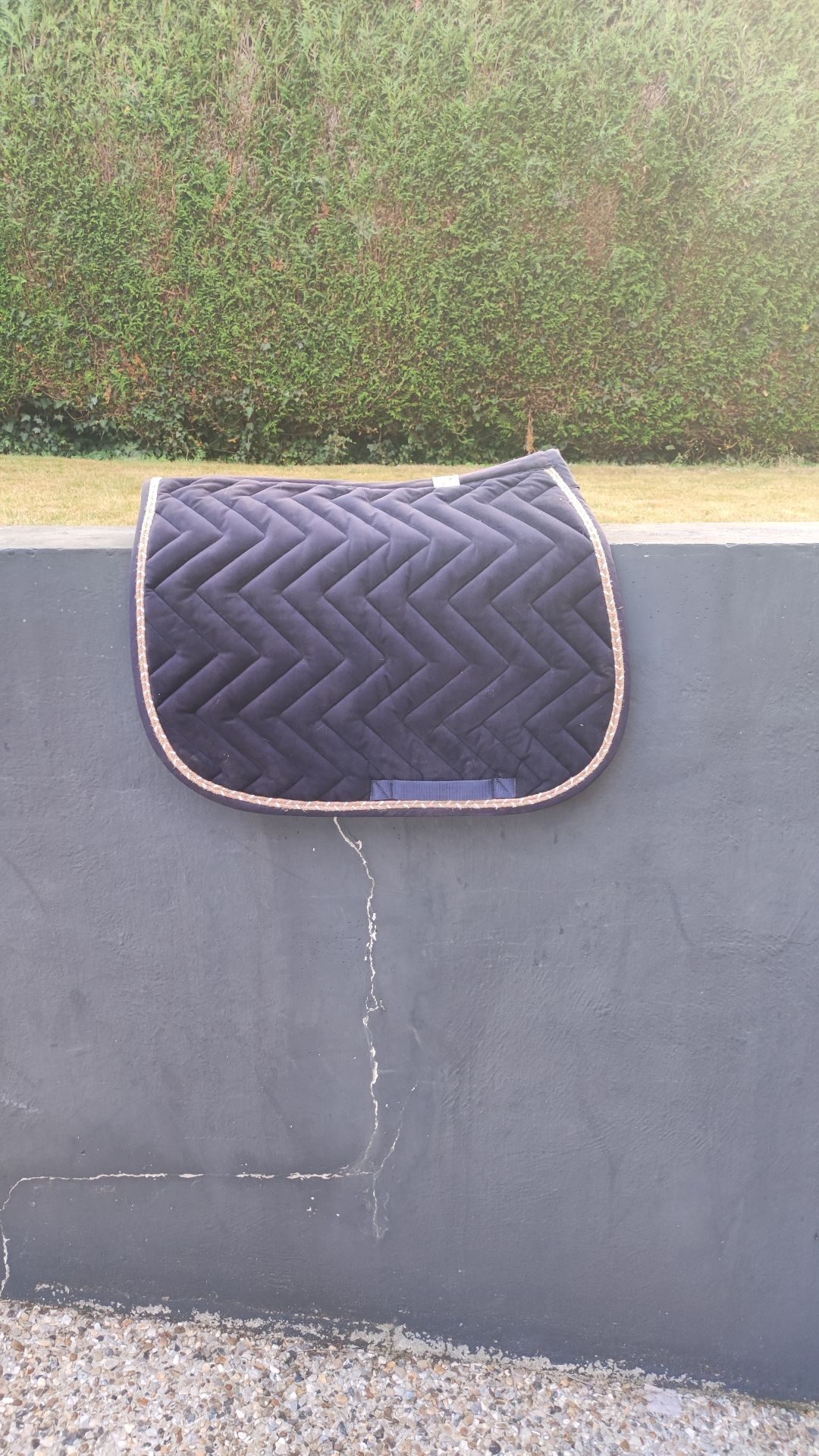 Tapis poney bleu marine à vendre, média 2