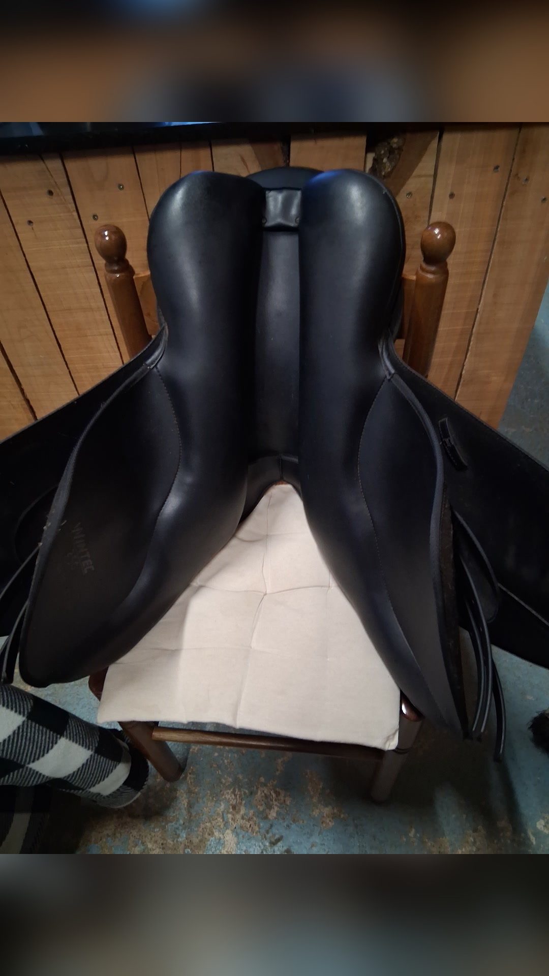 Selle Wintec 250, média 2
