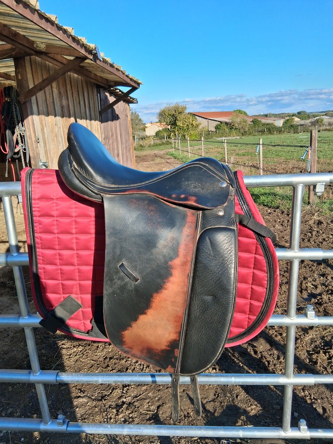 Selle de dressage, média 5