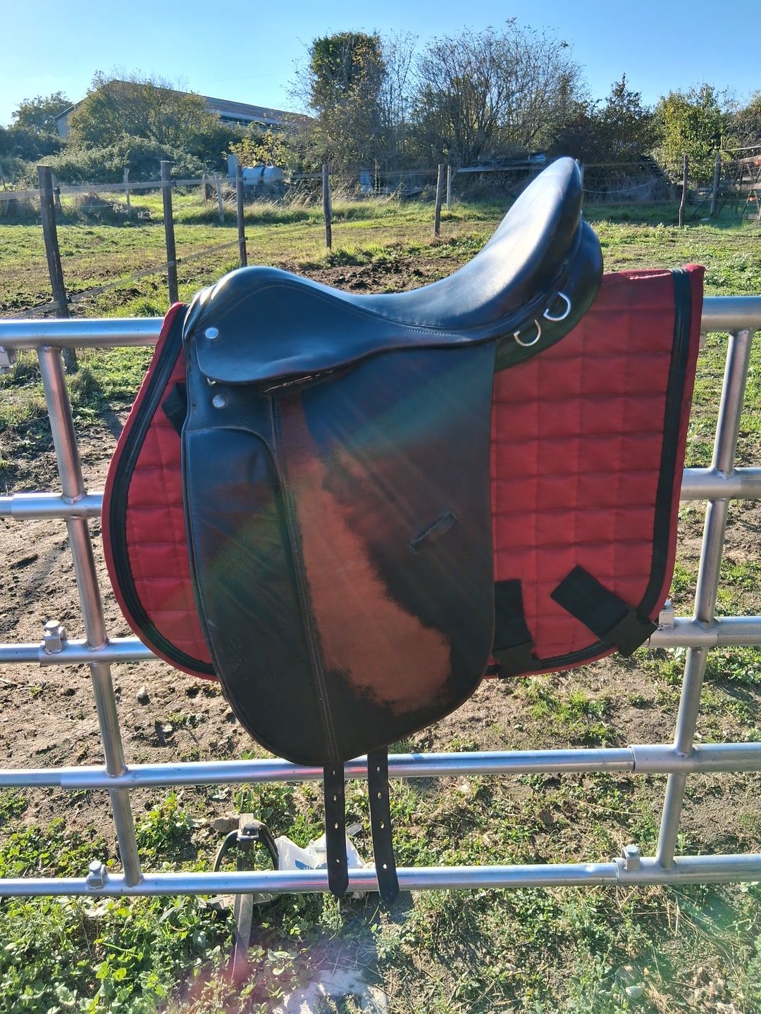 Selle de dressage, média 4
