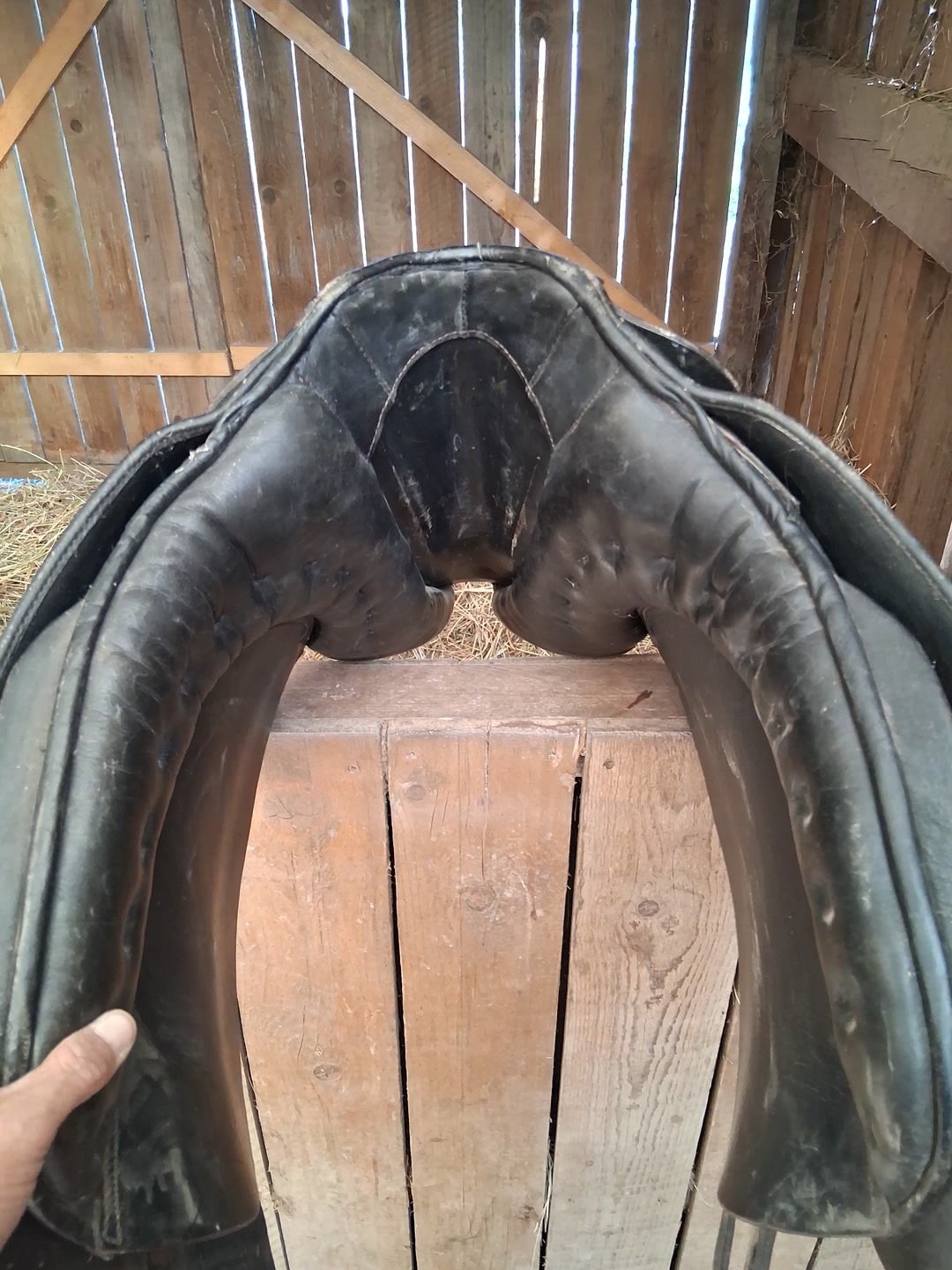 Selle de dressage, média 2
