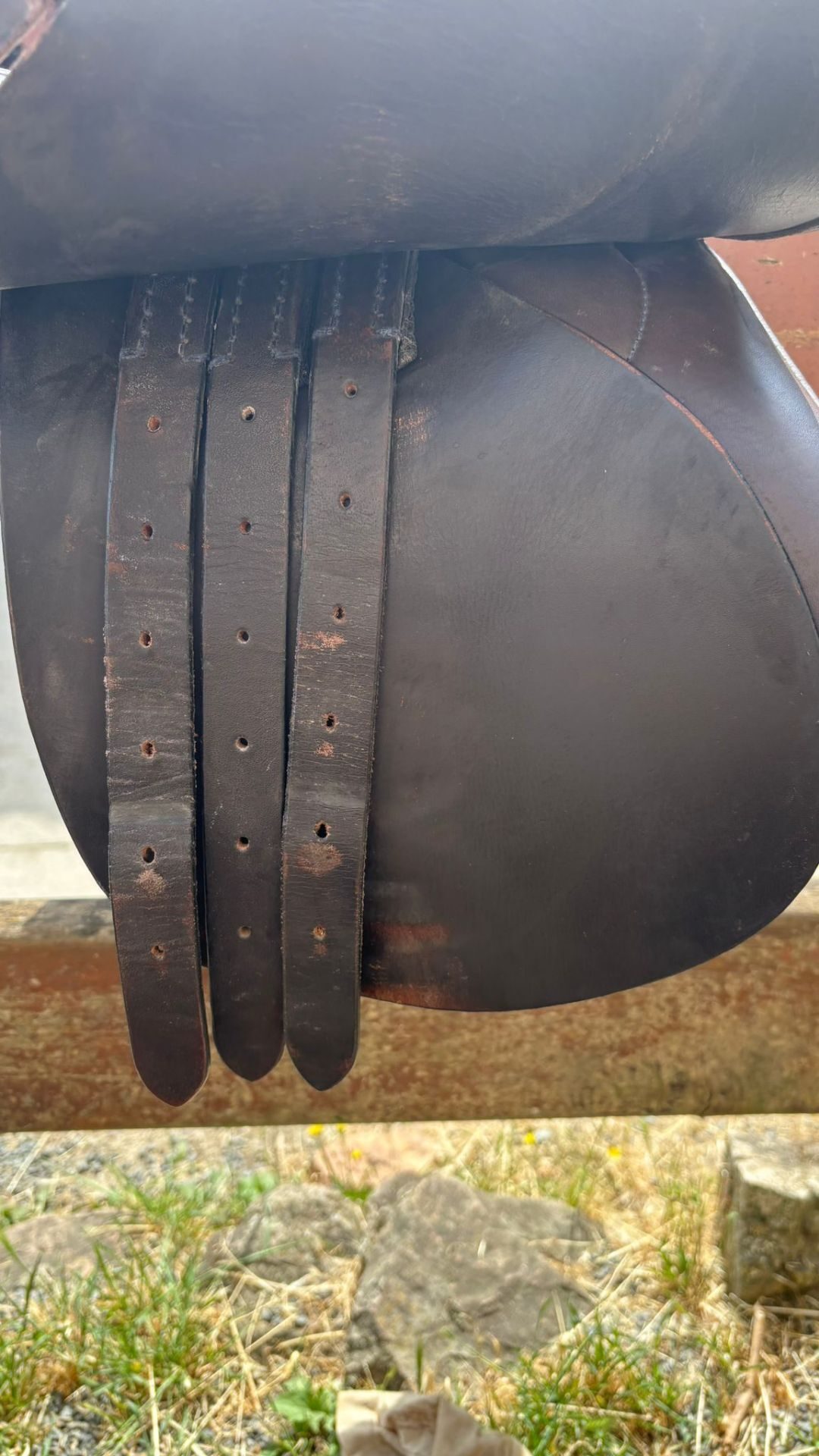 Selle Philippe Gavinet, média 5
