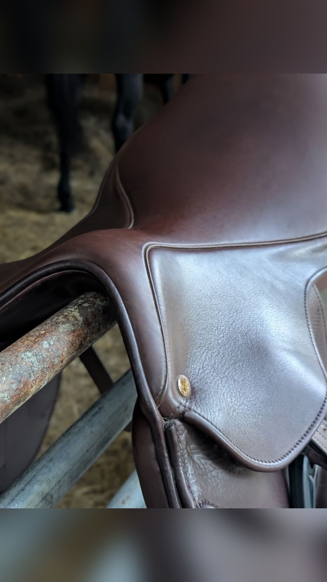 Selle monoquartier, média 2
