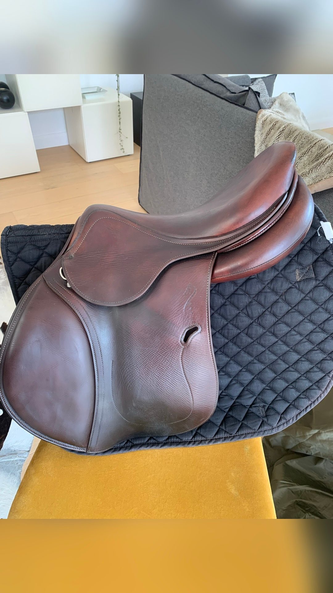 Selle Antarès, média 2