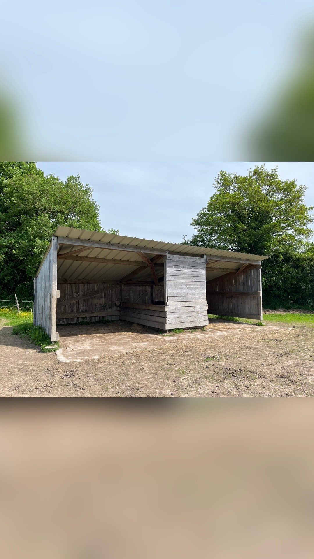Pension en troupeau proche Cholet limitrophe 44 49 85, média 10