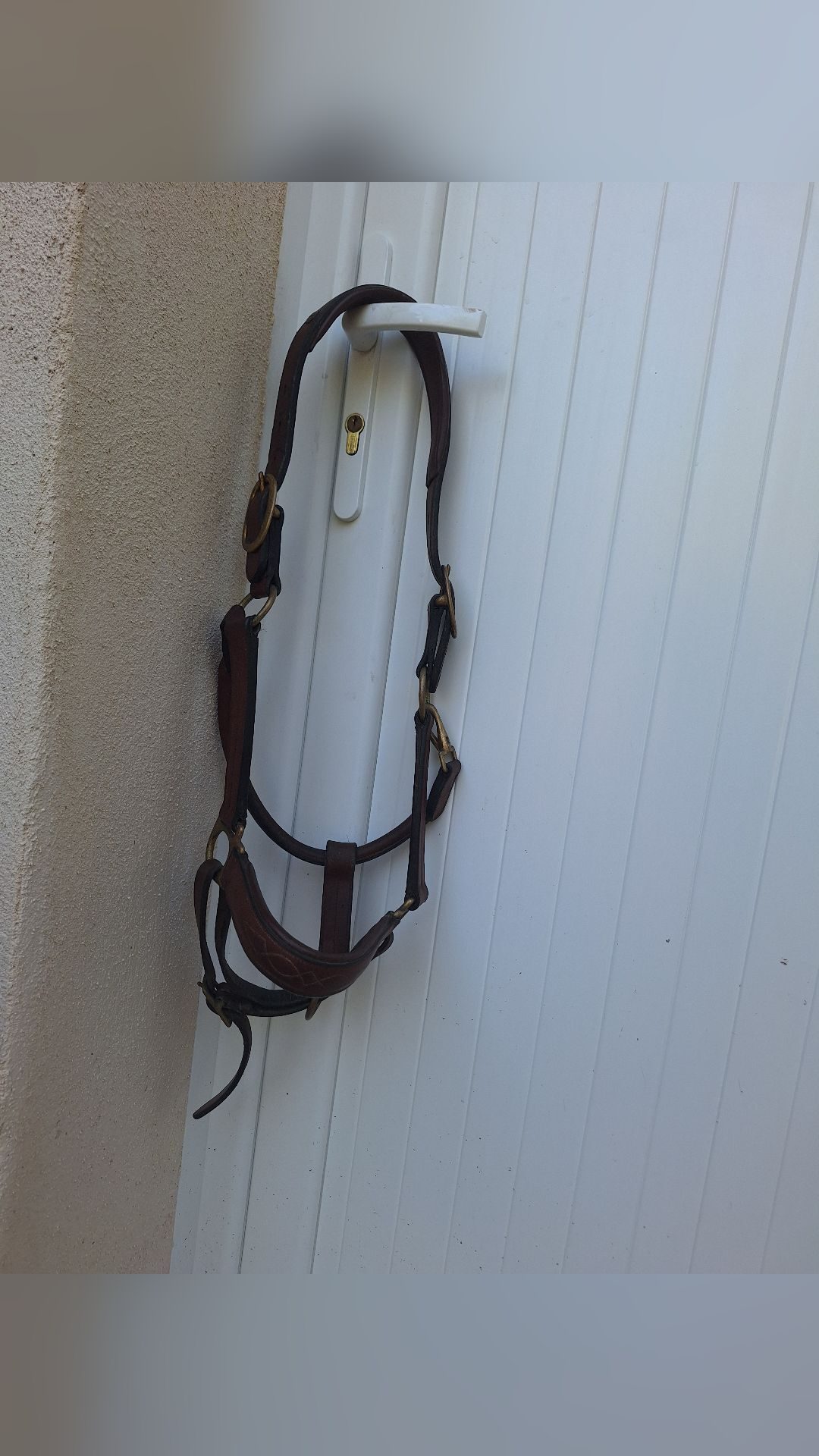 Licol en cuir, média 2