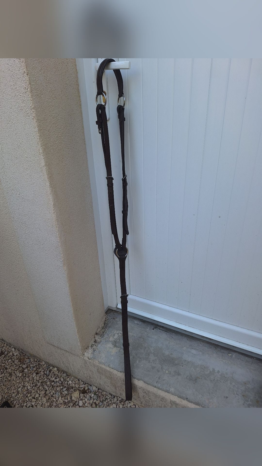 Collier de chasse, média 2
