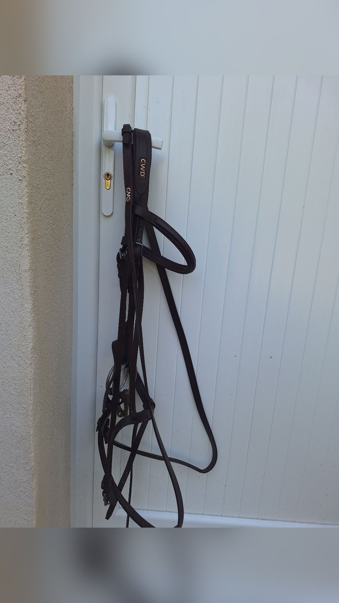 Filet CWD, média 4