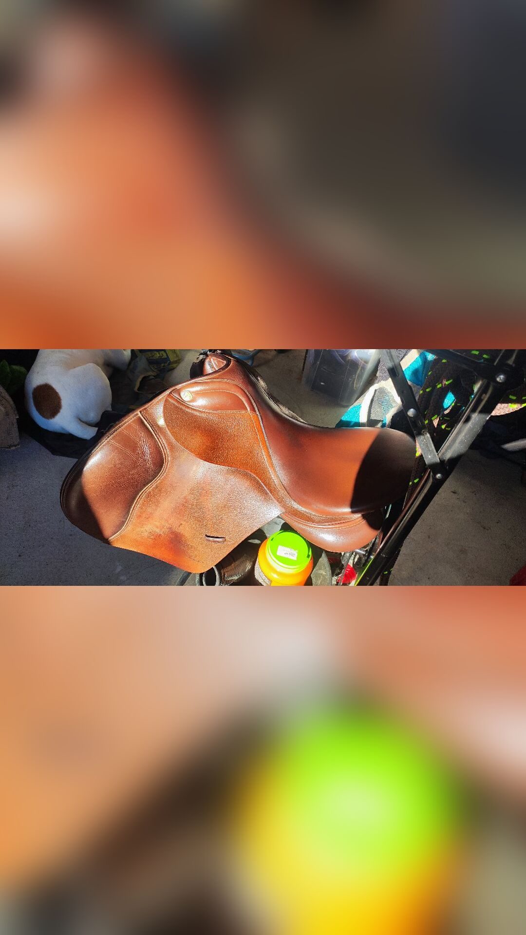 Selle Prestige Italia GP, média 2
