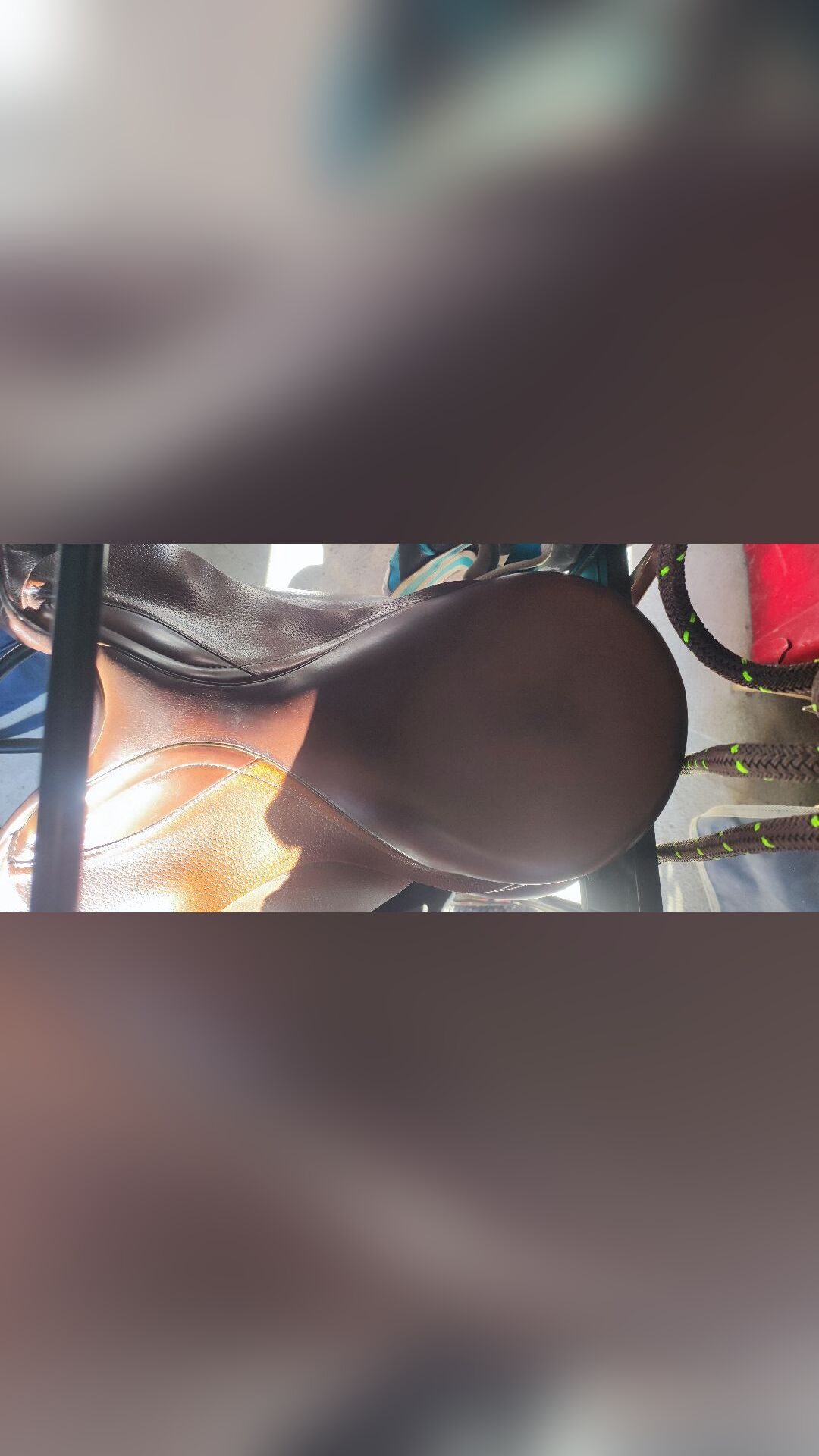 Selle Prestige Italia GP, média 3