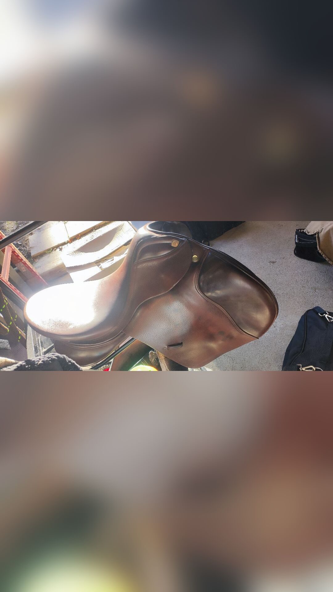 Selle Prestige Italia GP, média 5