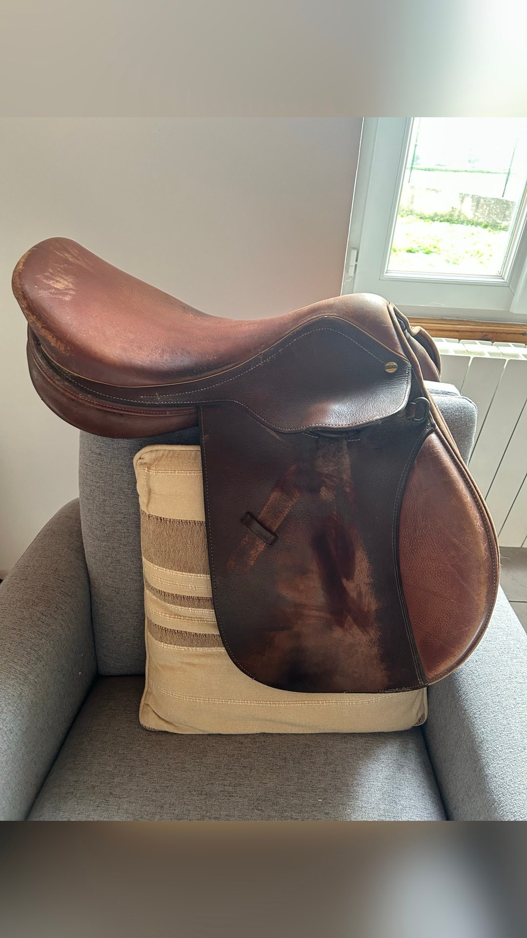 Selle mixte, média 2