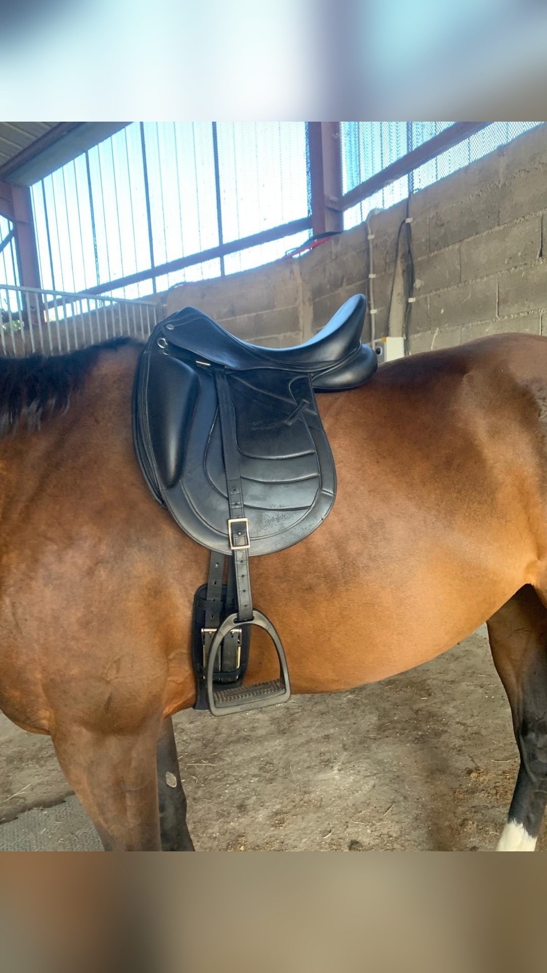 Selle Éric Thomas Fitter dressage, média 2
