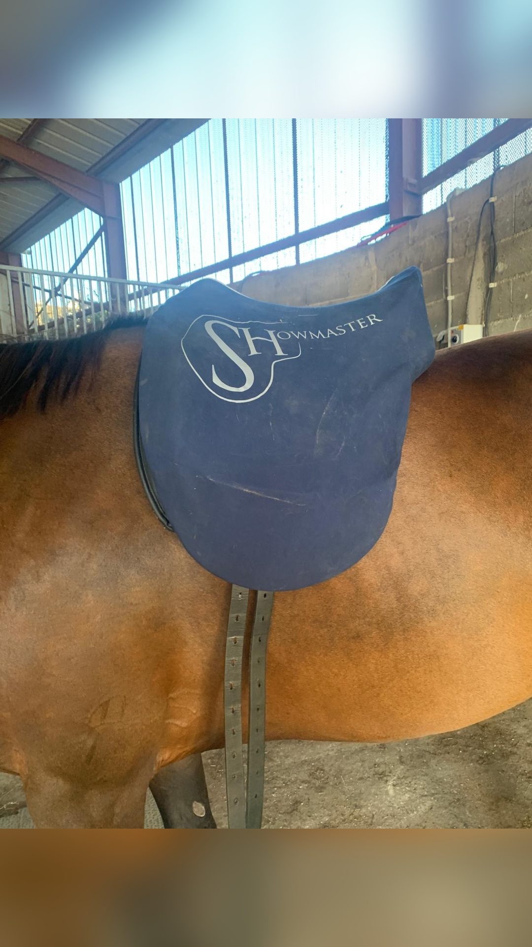 Selle Éric Thomas Fitter dressage, média 3