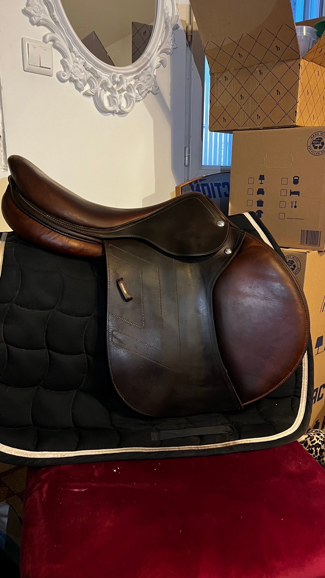 Selle Renaissance, média 3