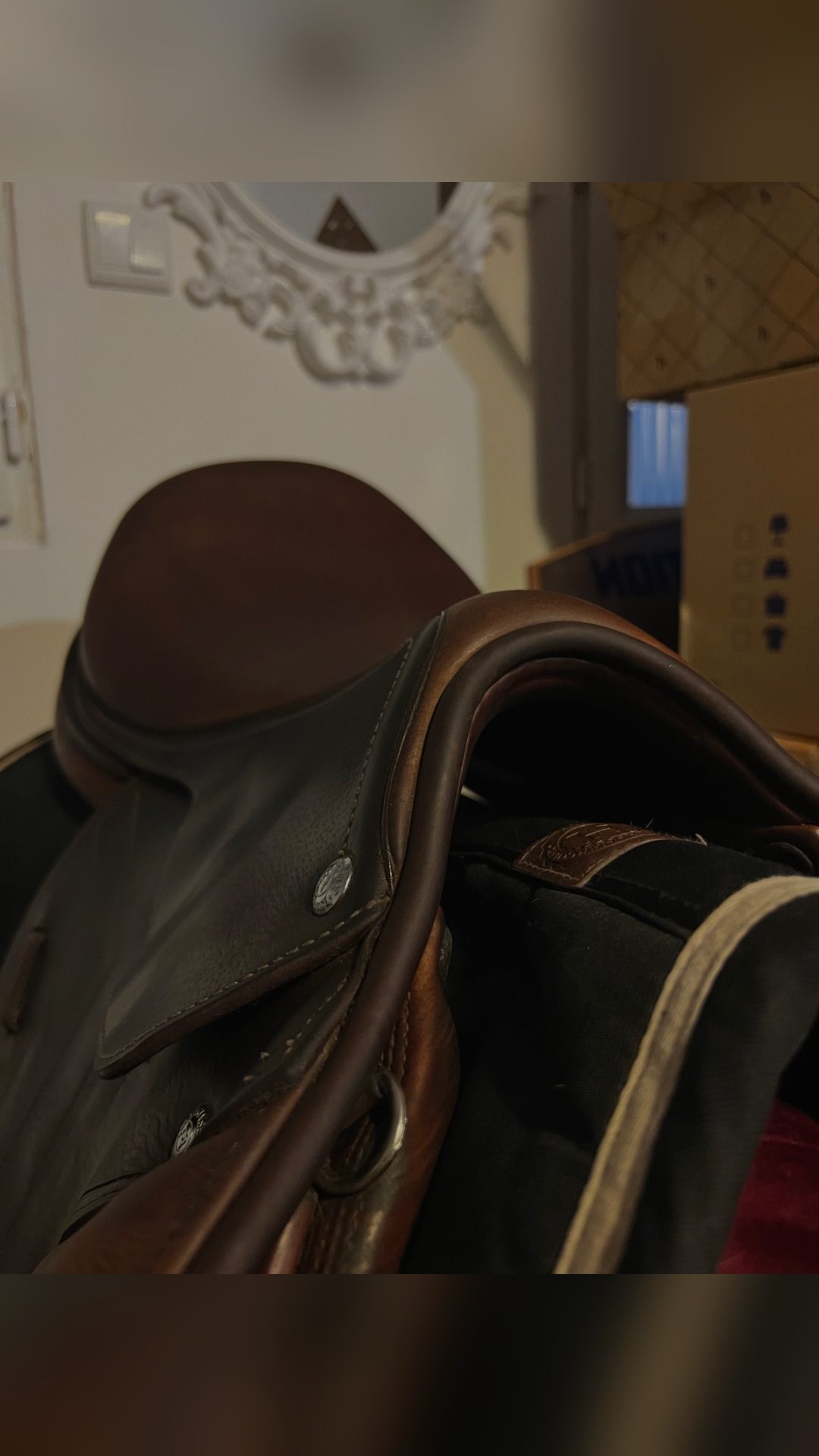Selle Renaissance, média 4