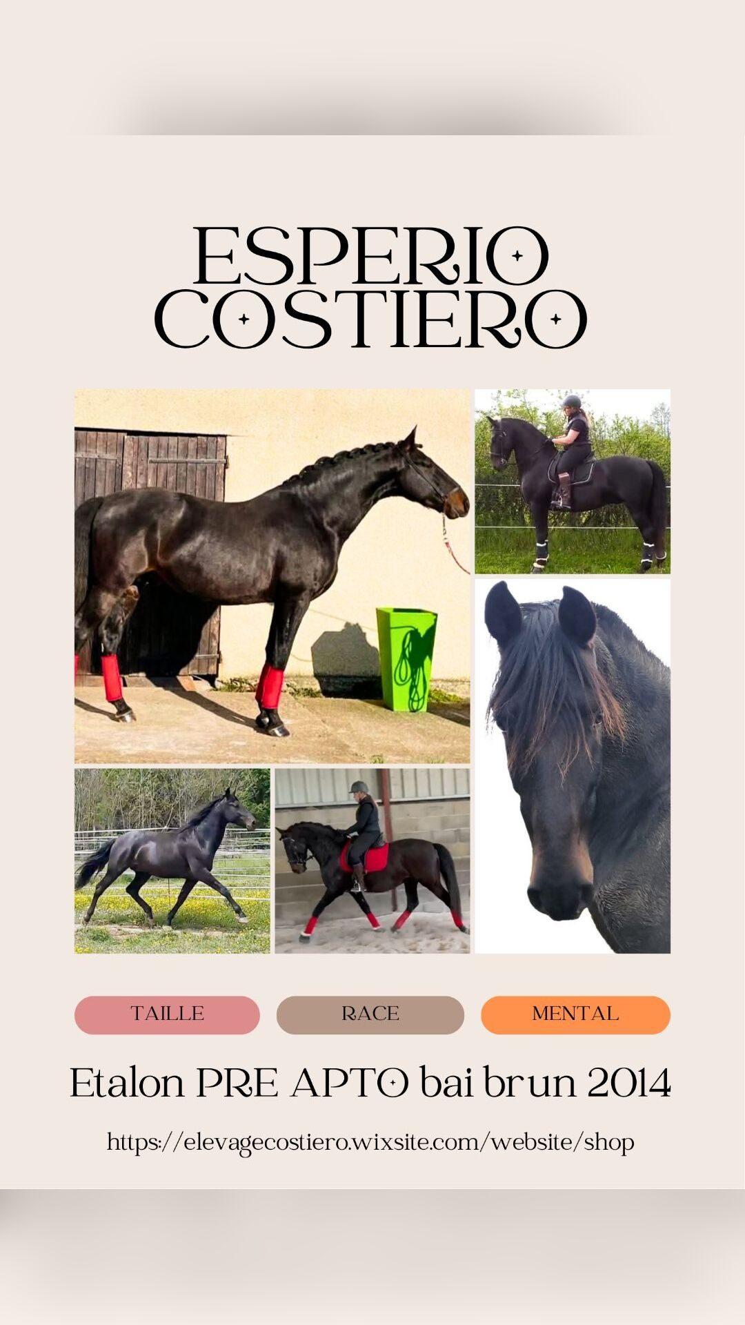 ESPERIO COSTIERO, média 5