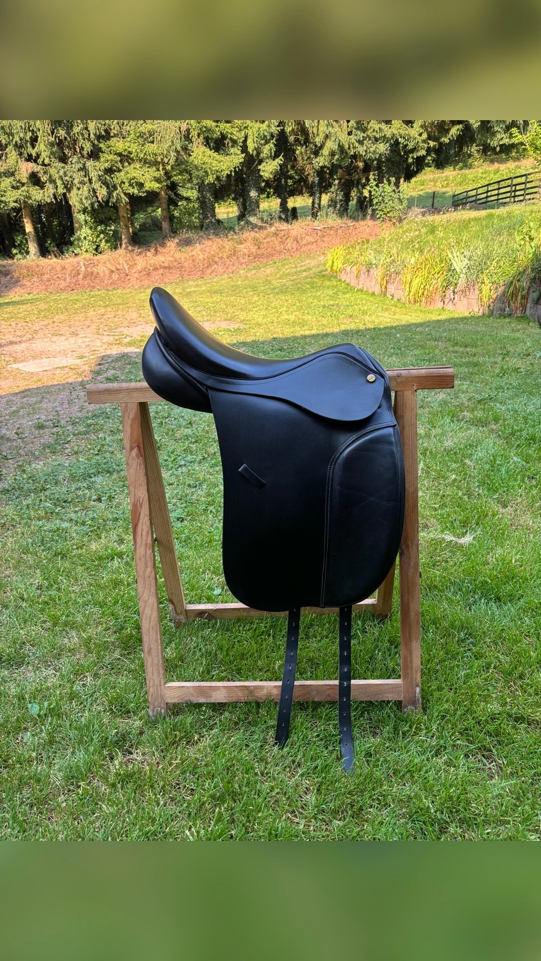 Selle Henri de Rivel, média 6