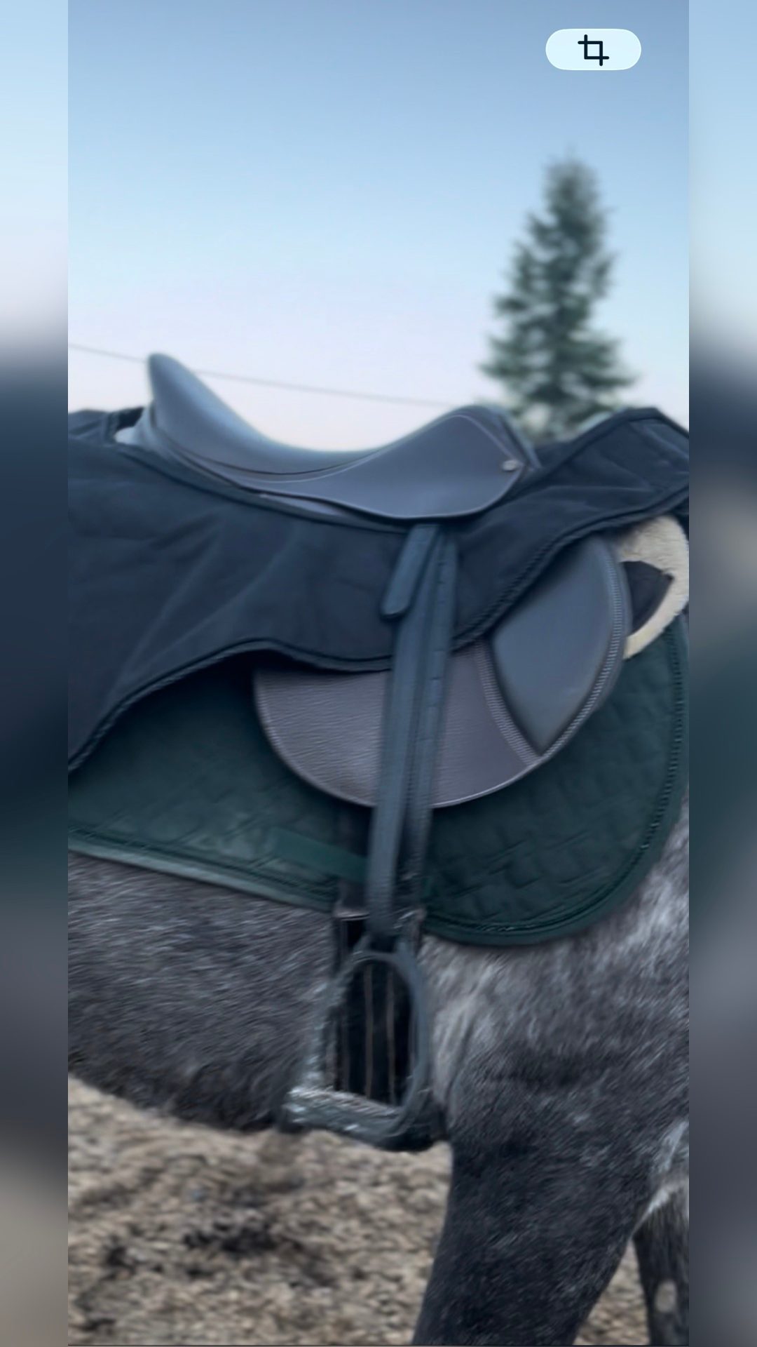 Selle TdeT, média 2