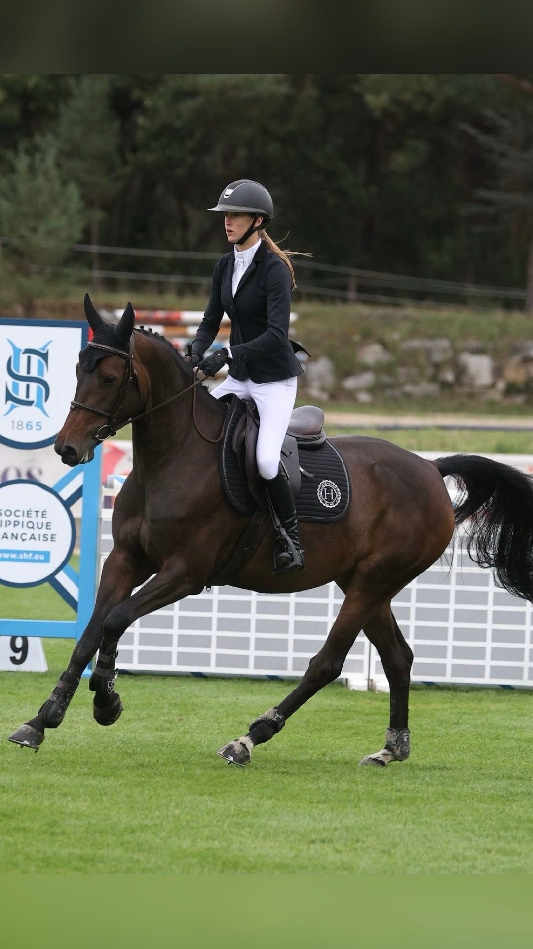 PANDORA D'HORTINCOURT (BEL), média 2