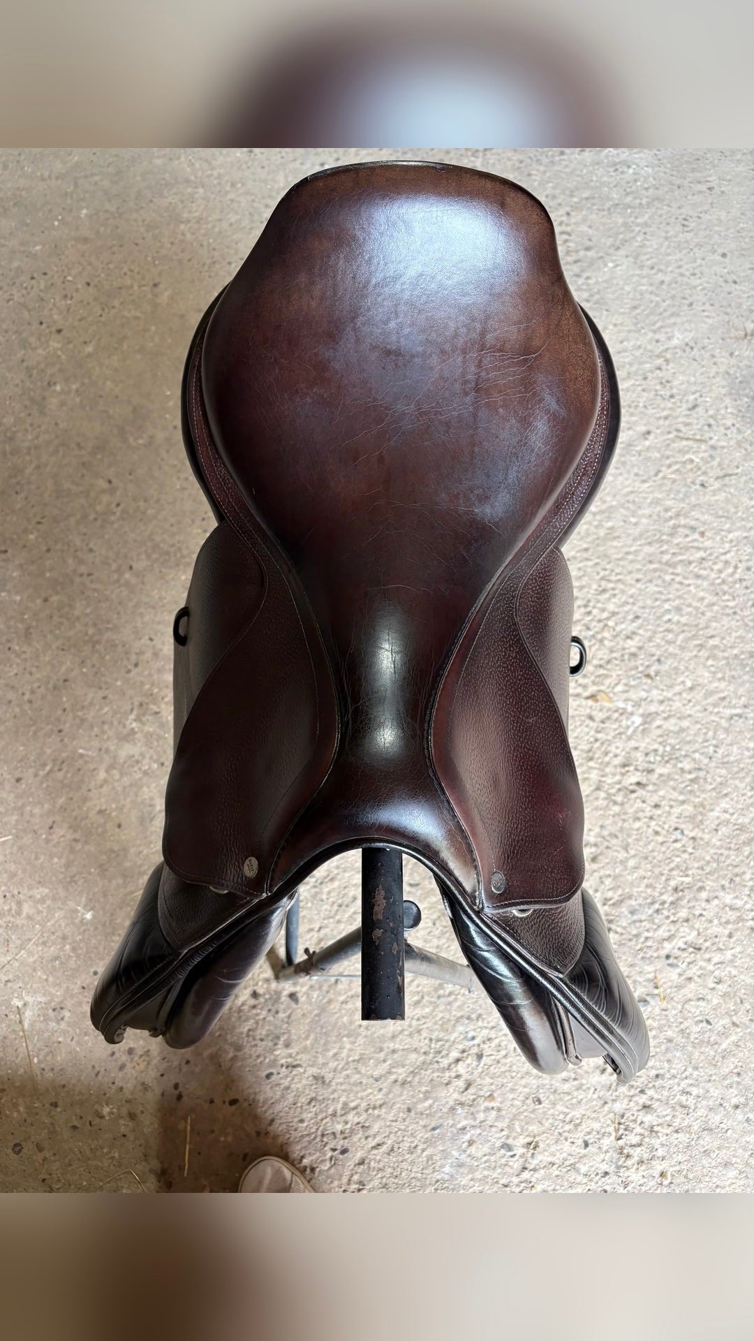 Selle Gbs, média 2