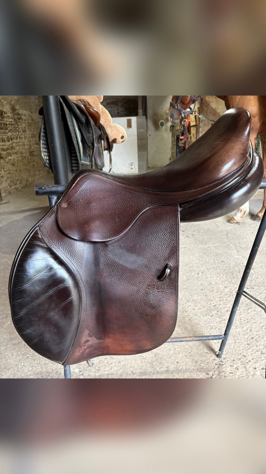 Selle Gbs, média 3