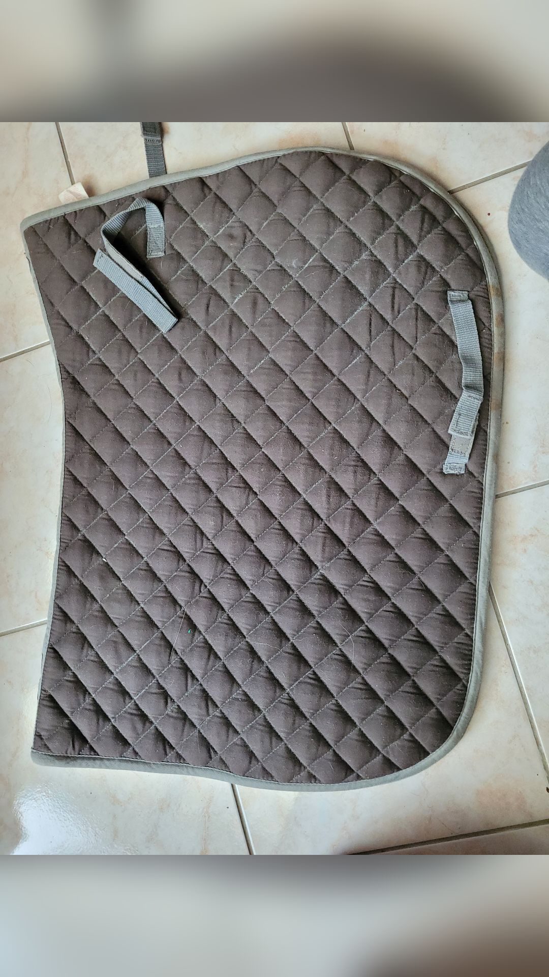 Tapis taille cheval, média 2