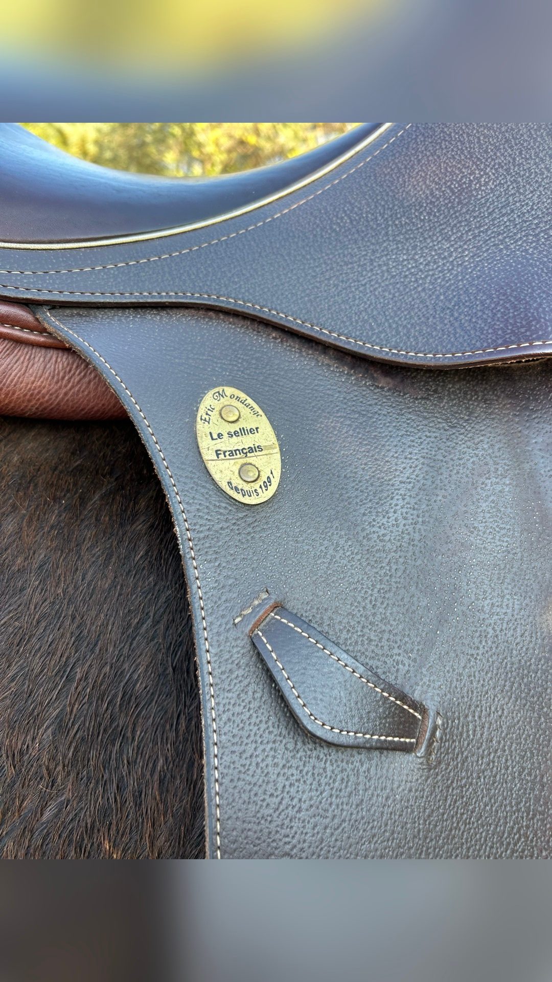 Selle Éric Mondange, média 2