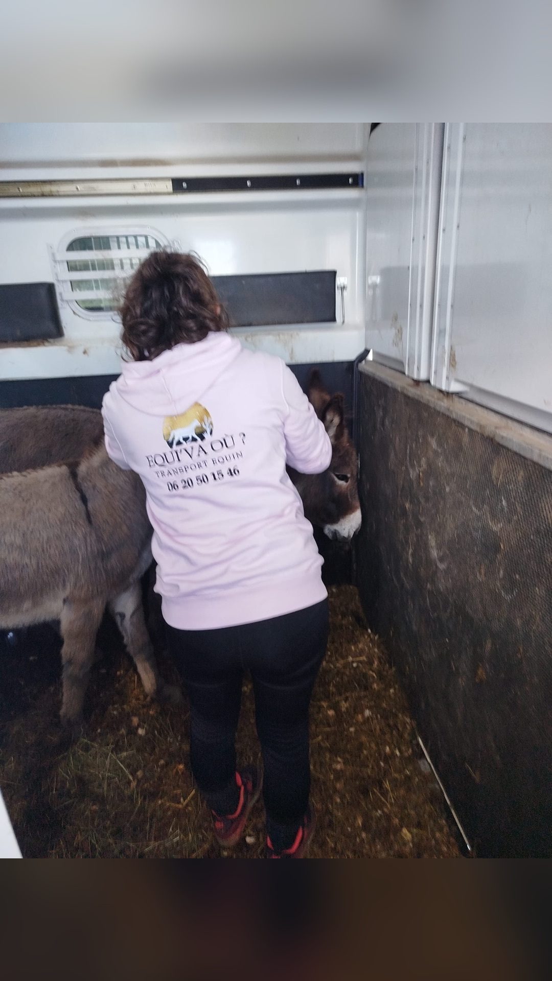 Transporteur professionnel Equin France et Europe, média 4