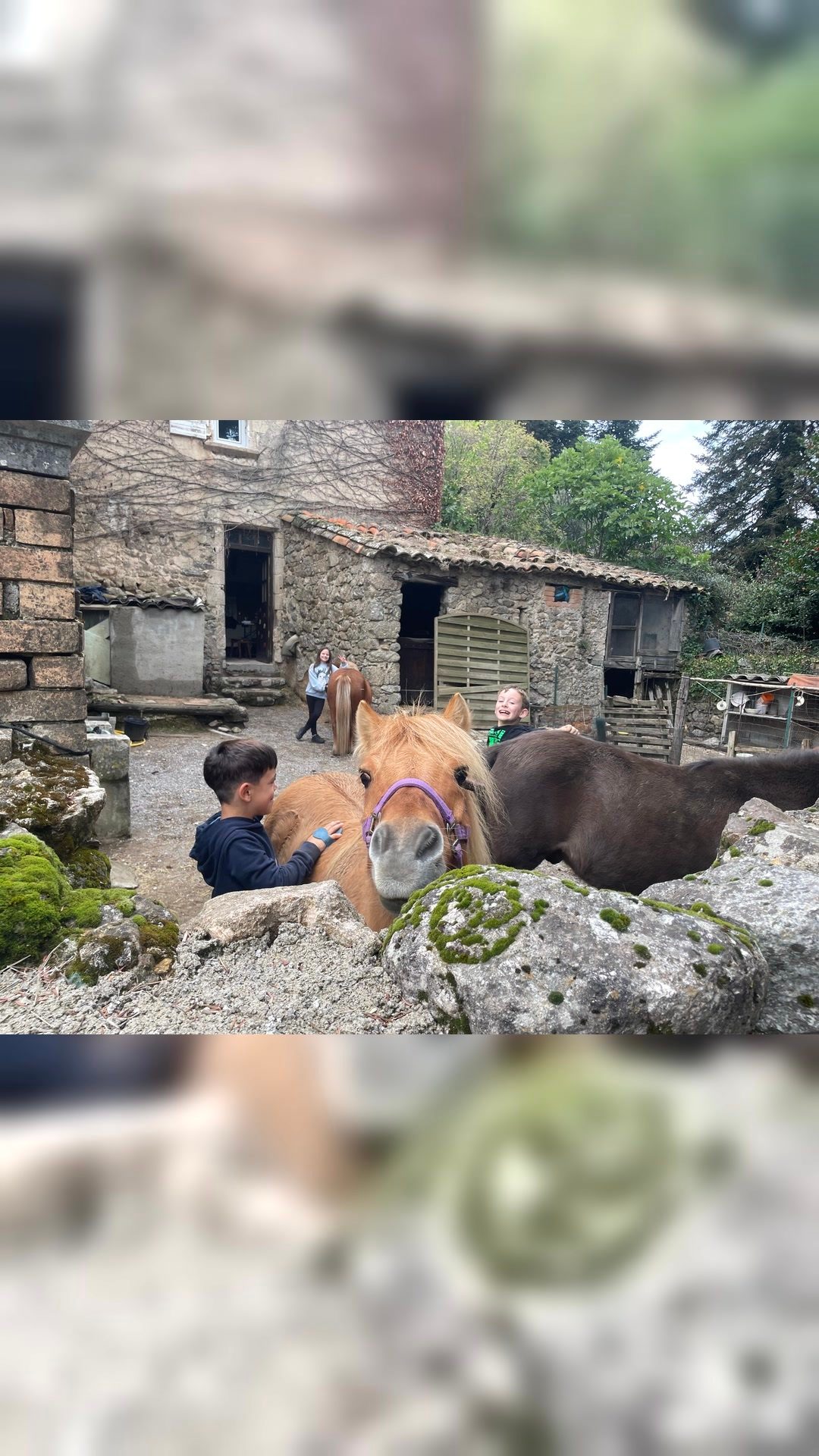 GINKO VAL D'EMERAUDE, média 3