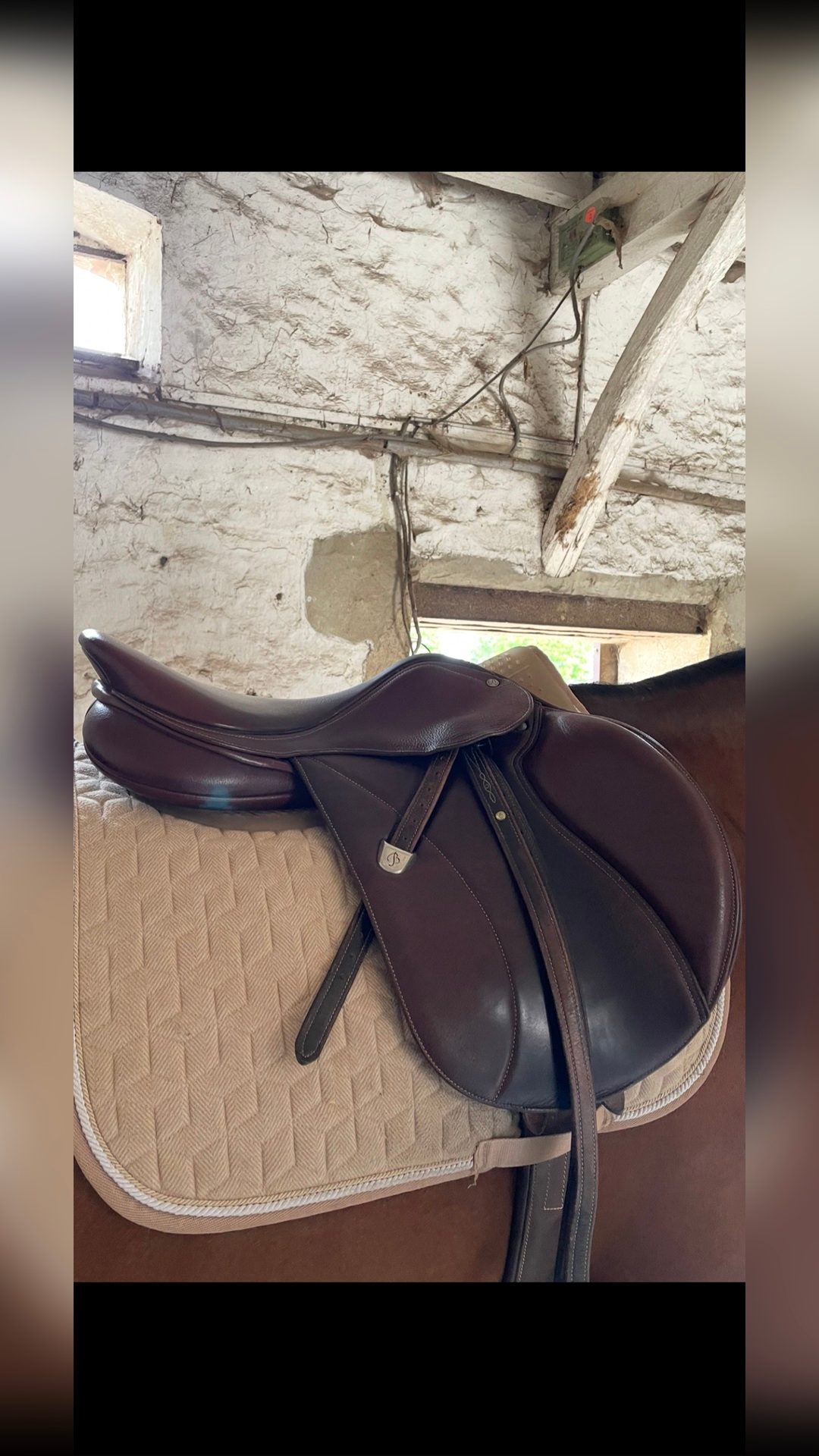 SELLE CSO BATES 17", média 2