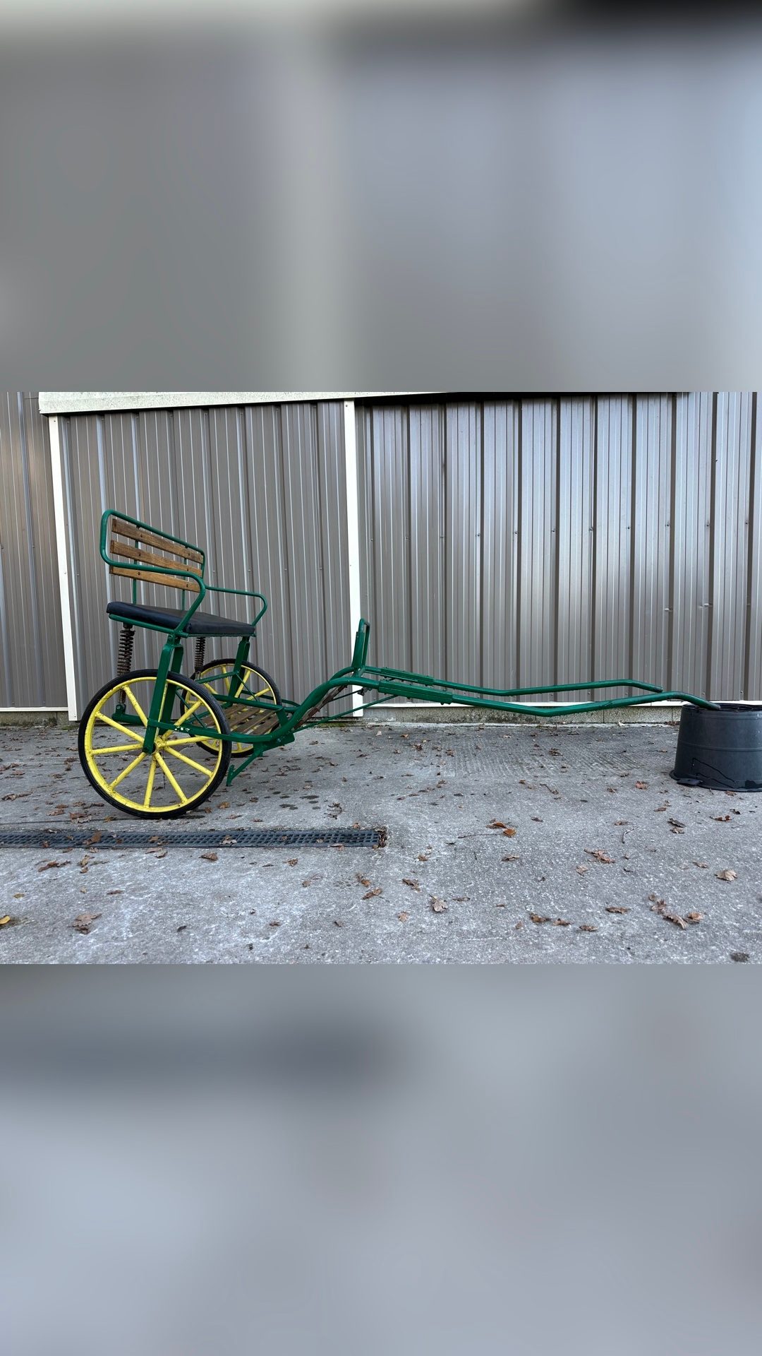 Calèche poney, média 5